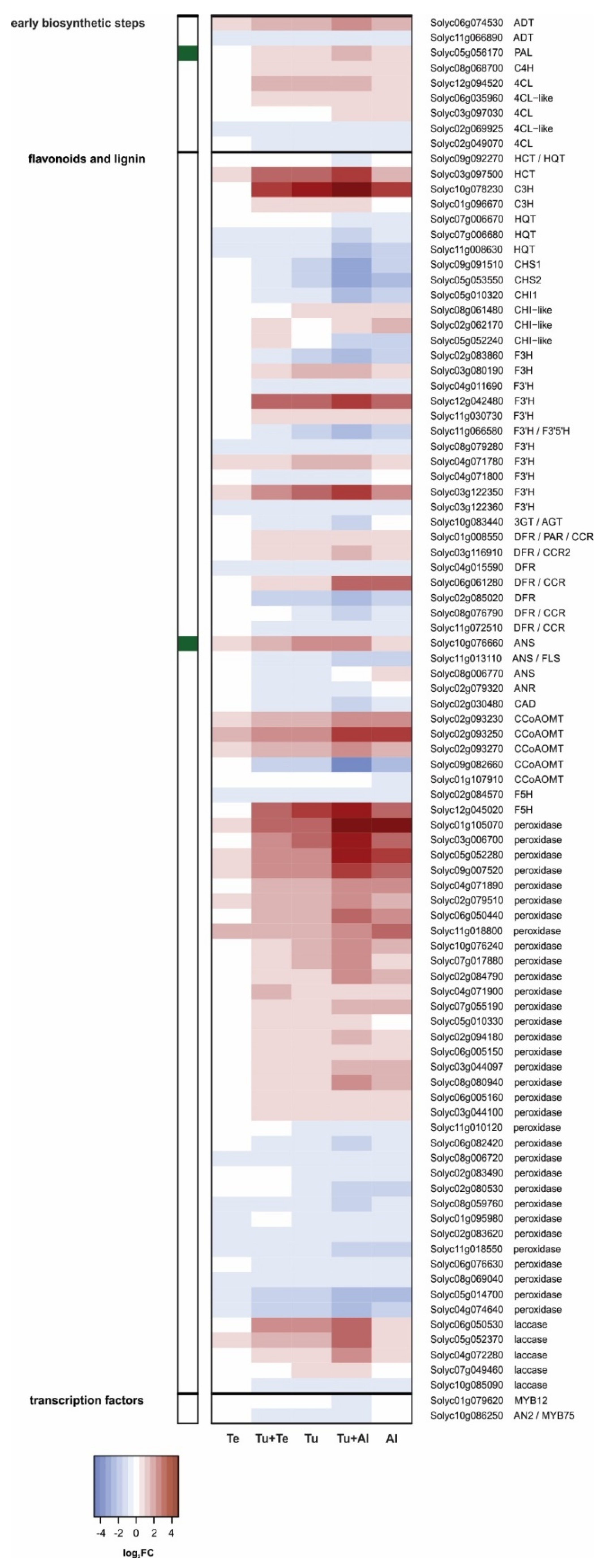 Ijms 19 03265 g005 Ijms 19 03265 g005