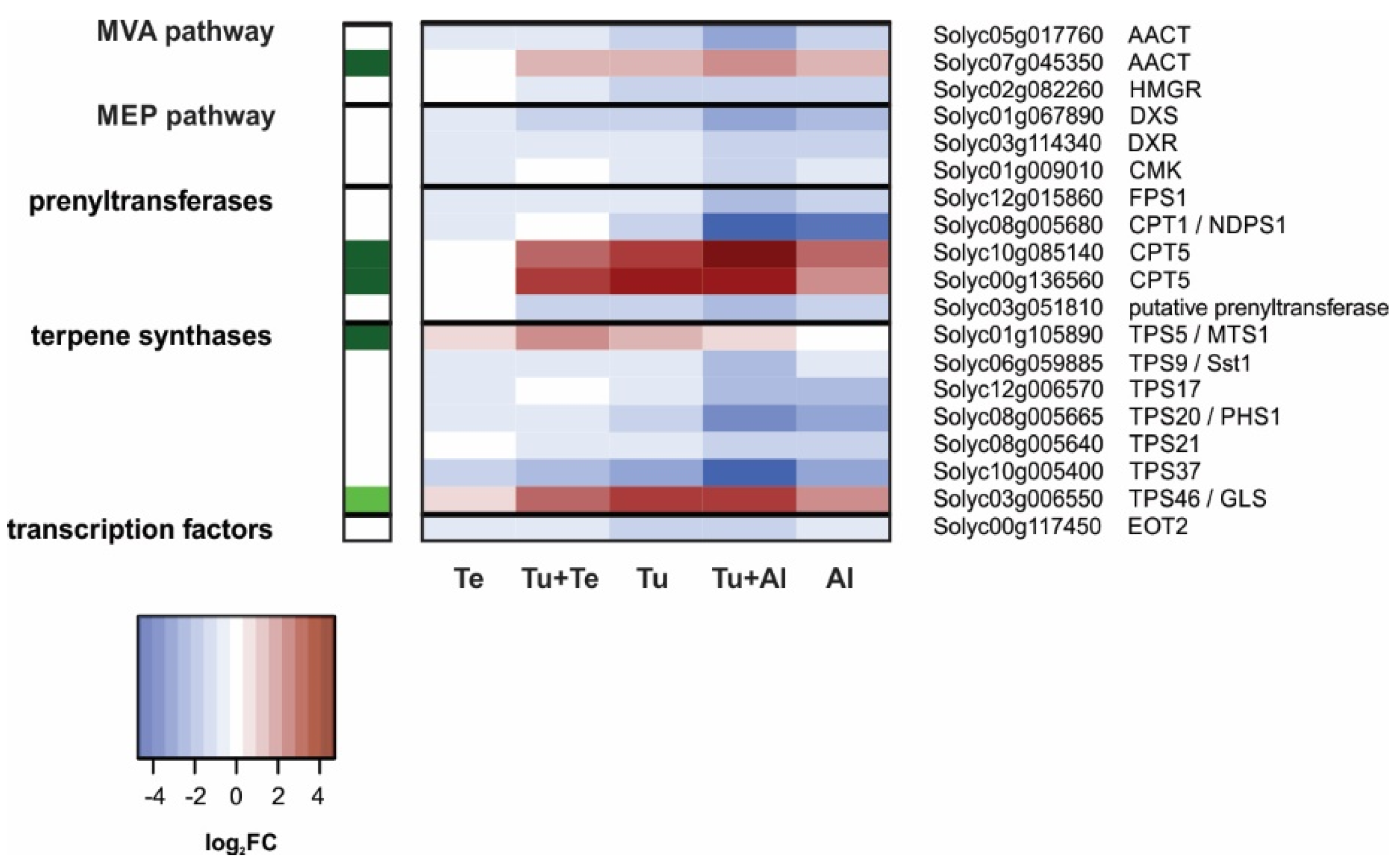 Ijms 19 03265 g006 Ijms 19 03265 g006