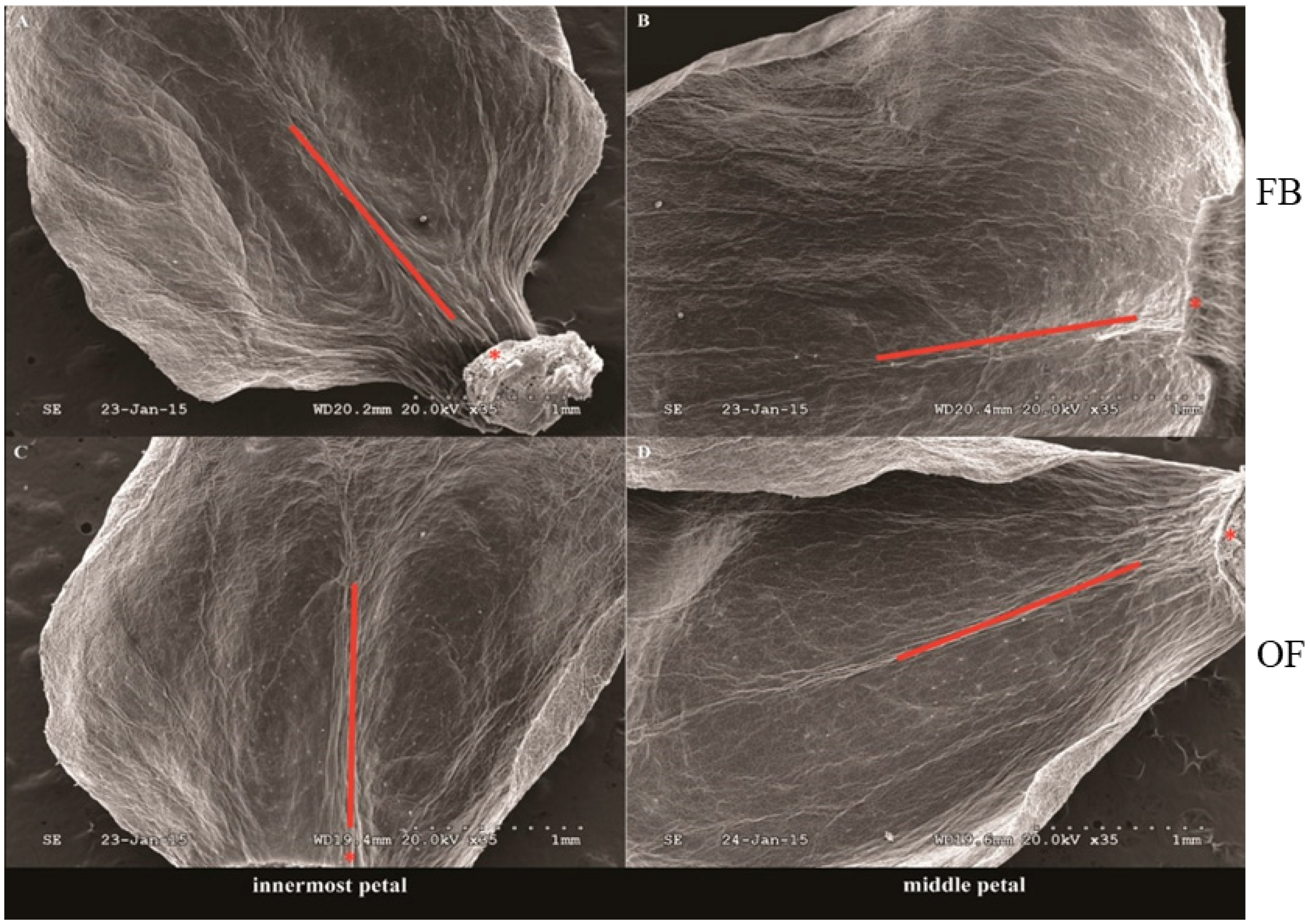 Ijms 19 03278 g003 Ijms 19 03278 g003