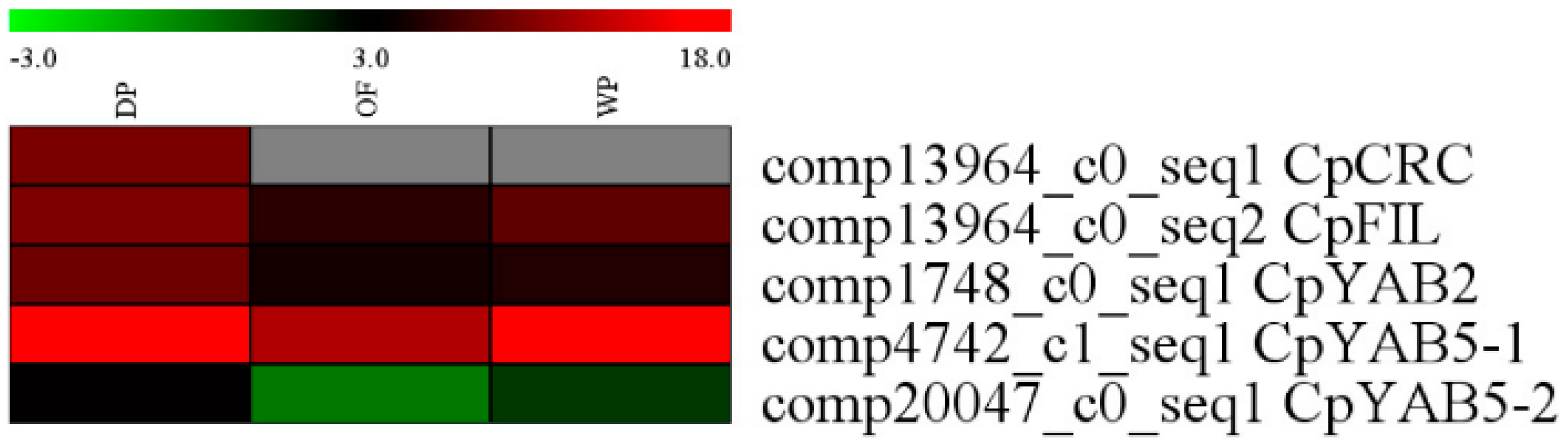 Ijms 19 03278 g006 Ijms 19 03278 g006