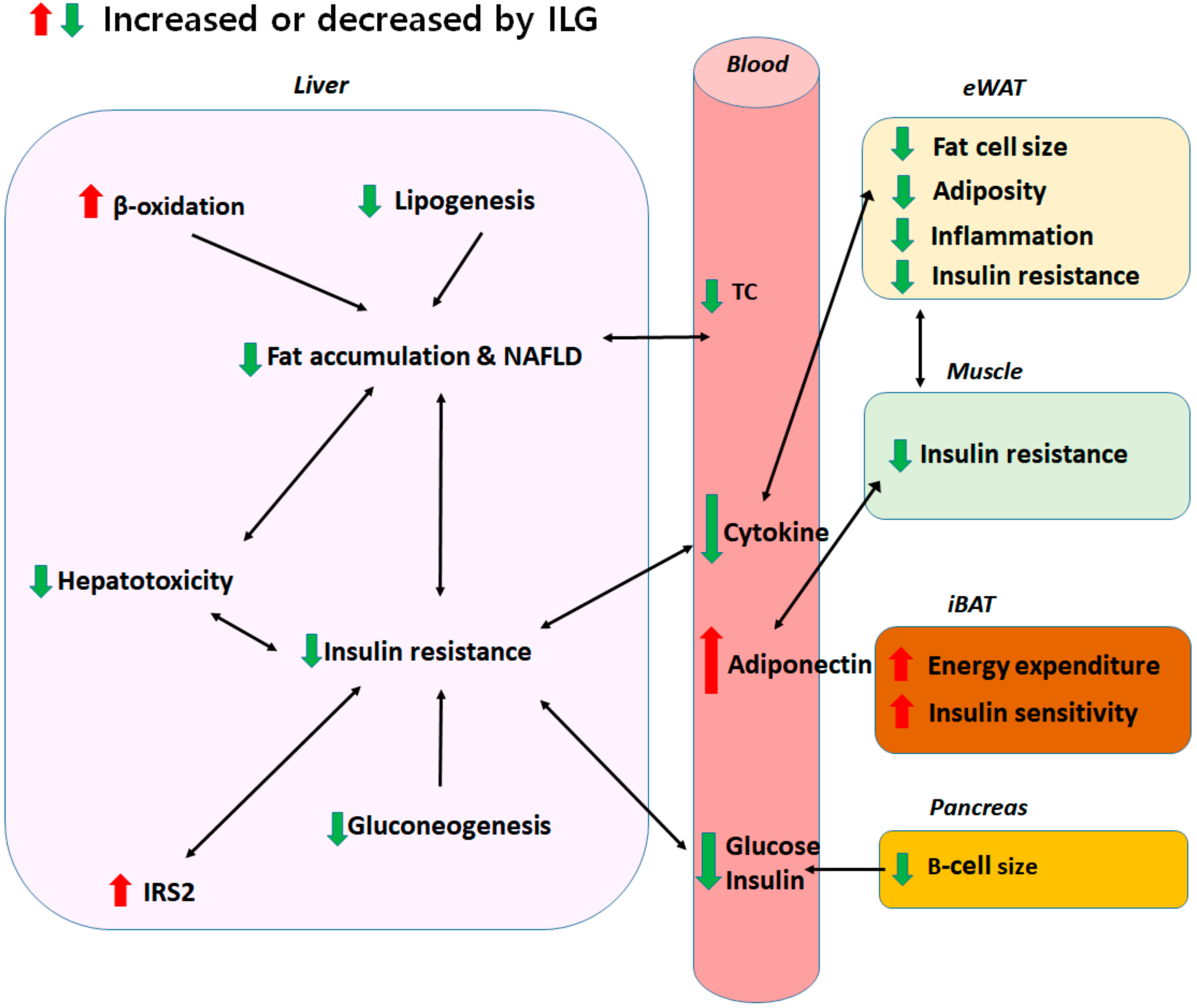 Recent Progress and Perspectives of Solid State Na-CO2 Batteries