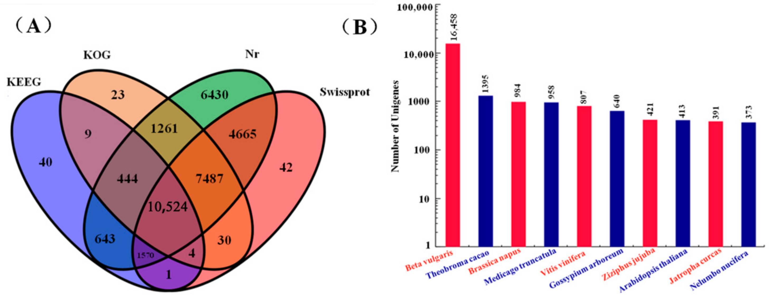 Ijms 19 03324 g003 Ijms 19 03324 g003