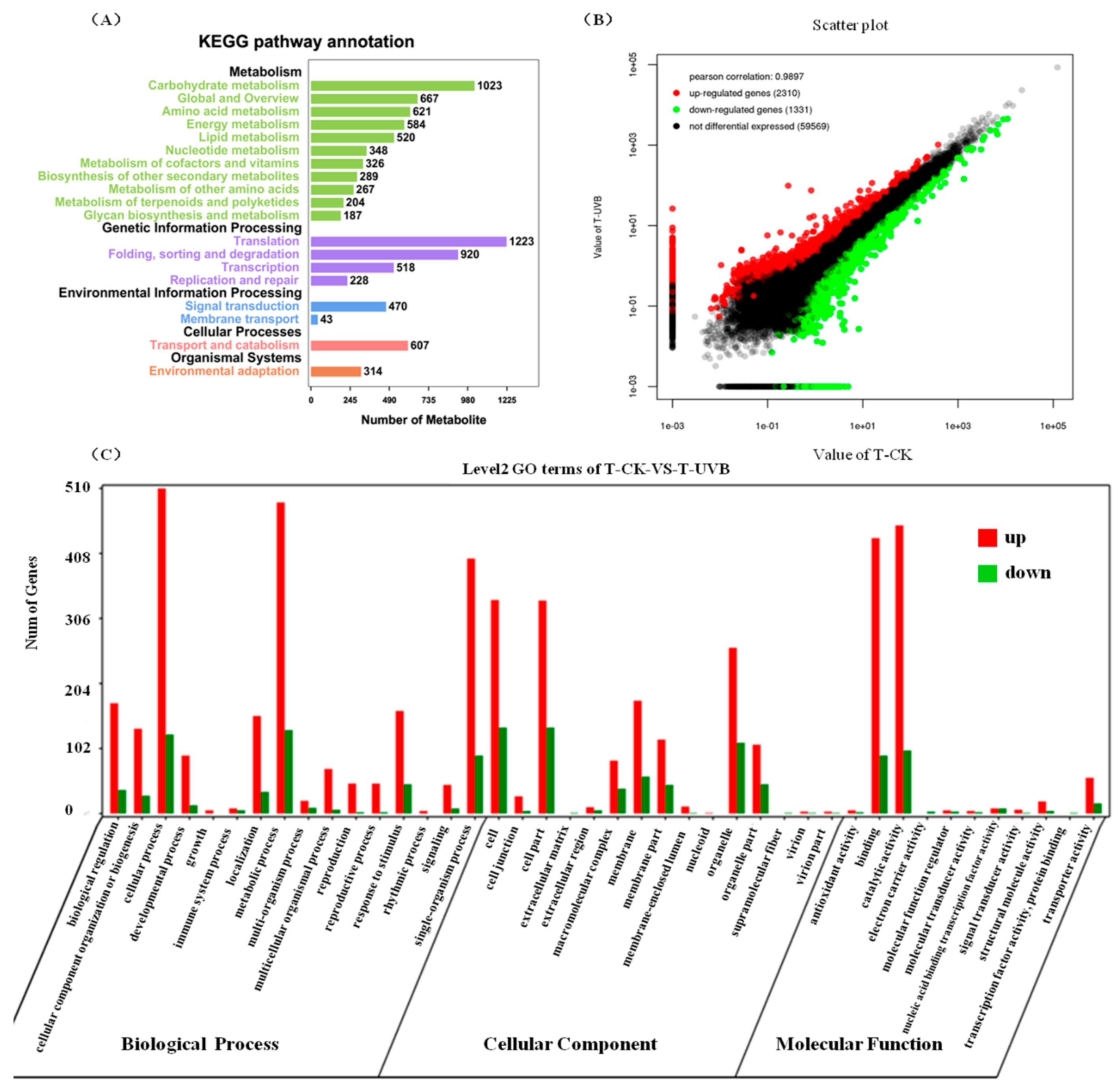 Ijms 19 03324 g004 Ijms 19 03324 g004