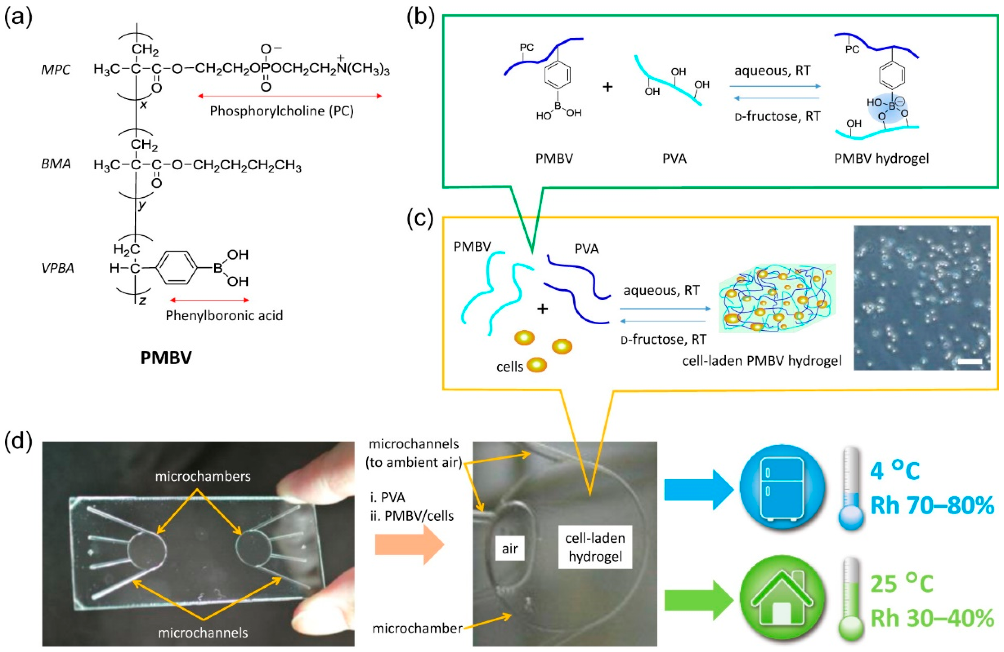 Ijms 19 03330 g005 Ijms 19 03330 g005