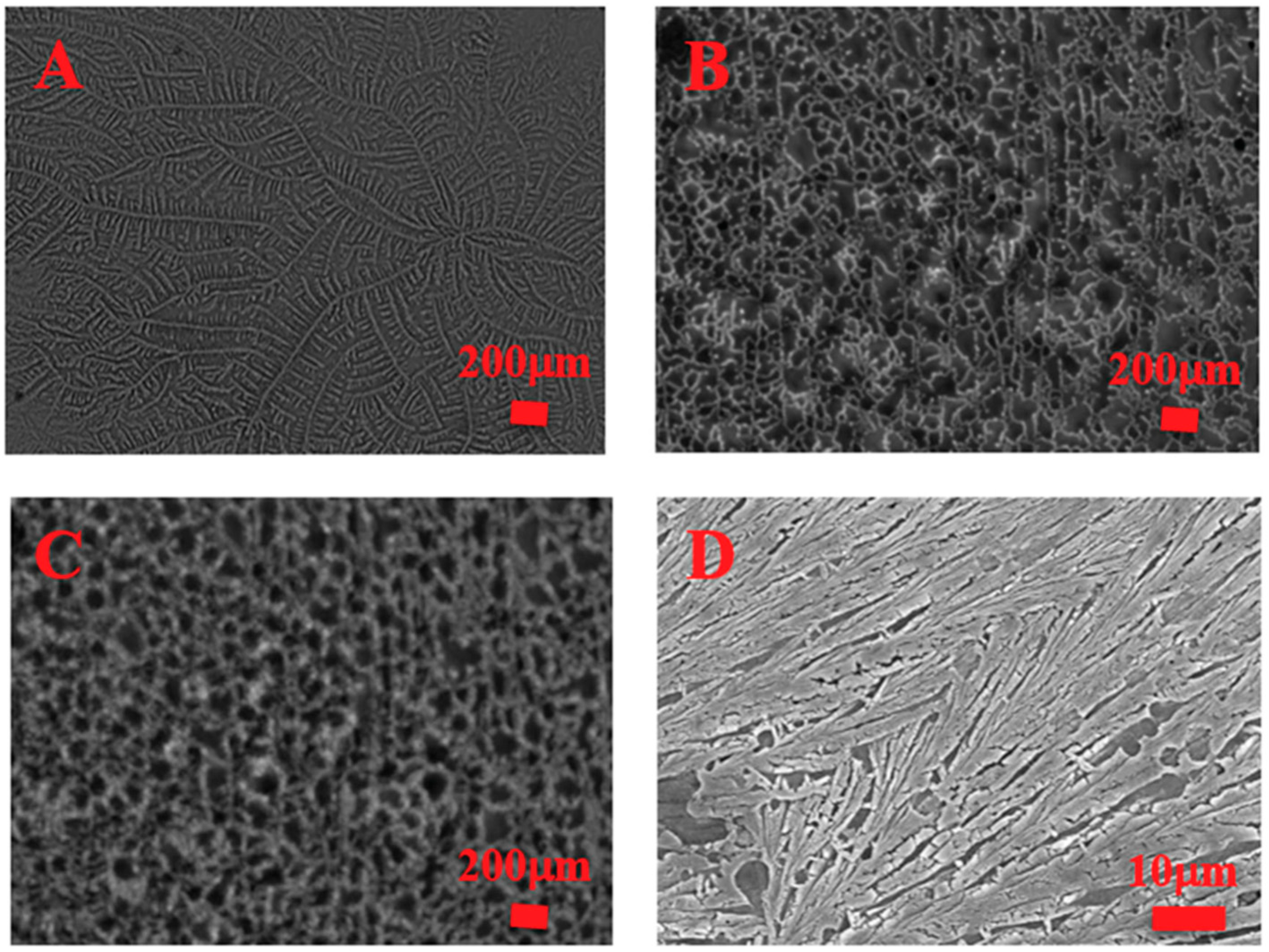 Ijms 19 03330 g006 Ijms 19 03330 g006