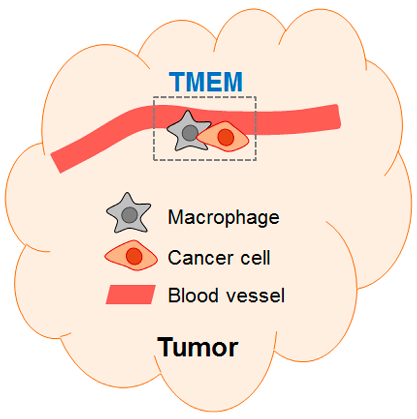 Ijms 19 03333 g001 Ijms 19 03333 g001