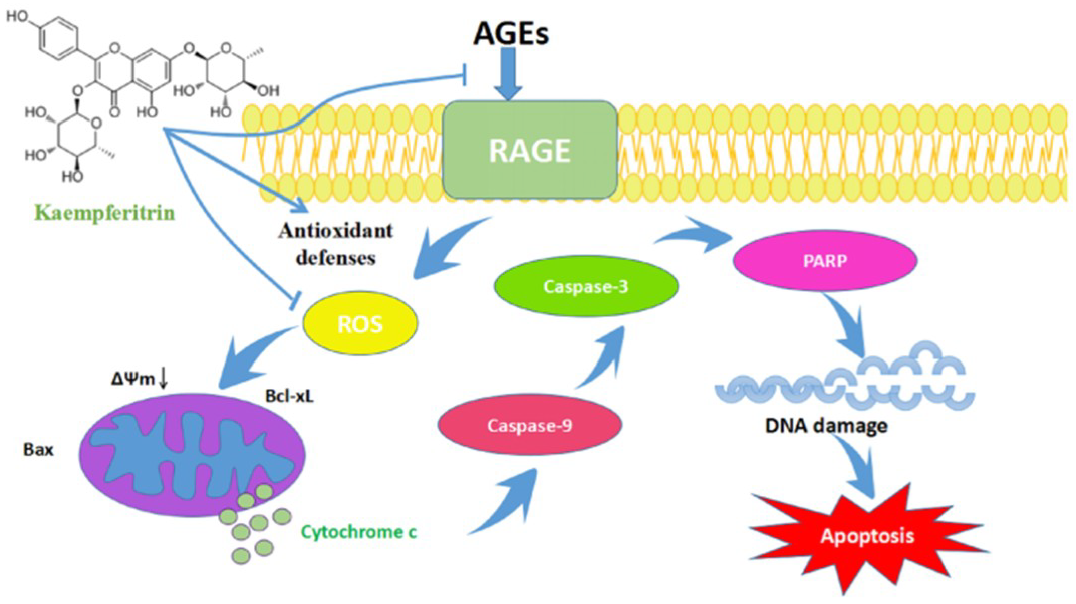 Ijms 19 03334 g009 Ijms 19 03334 g009