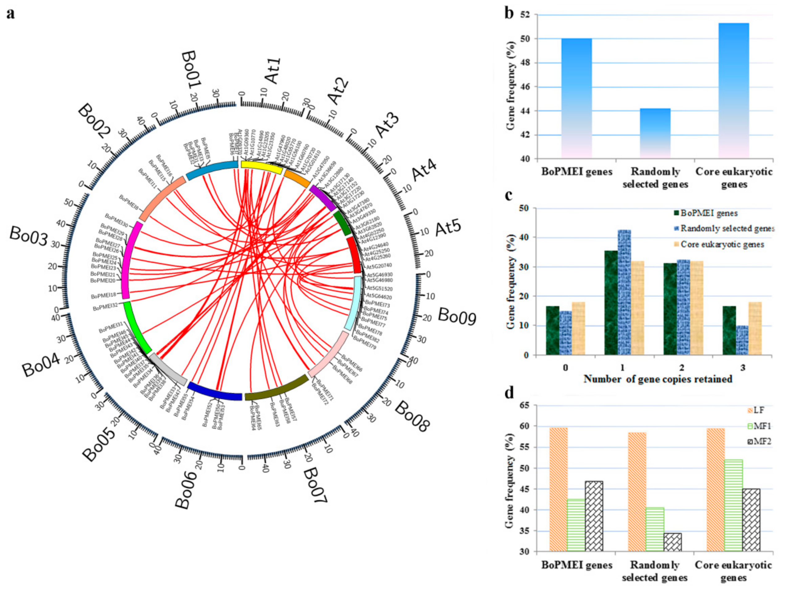 Ijms 19 03338 g003 Ijms 19 03338 g003