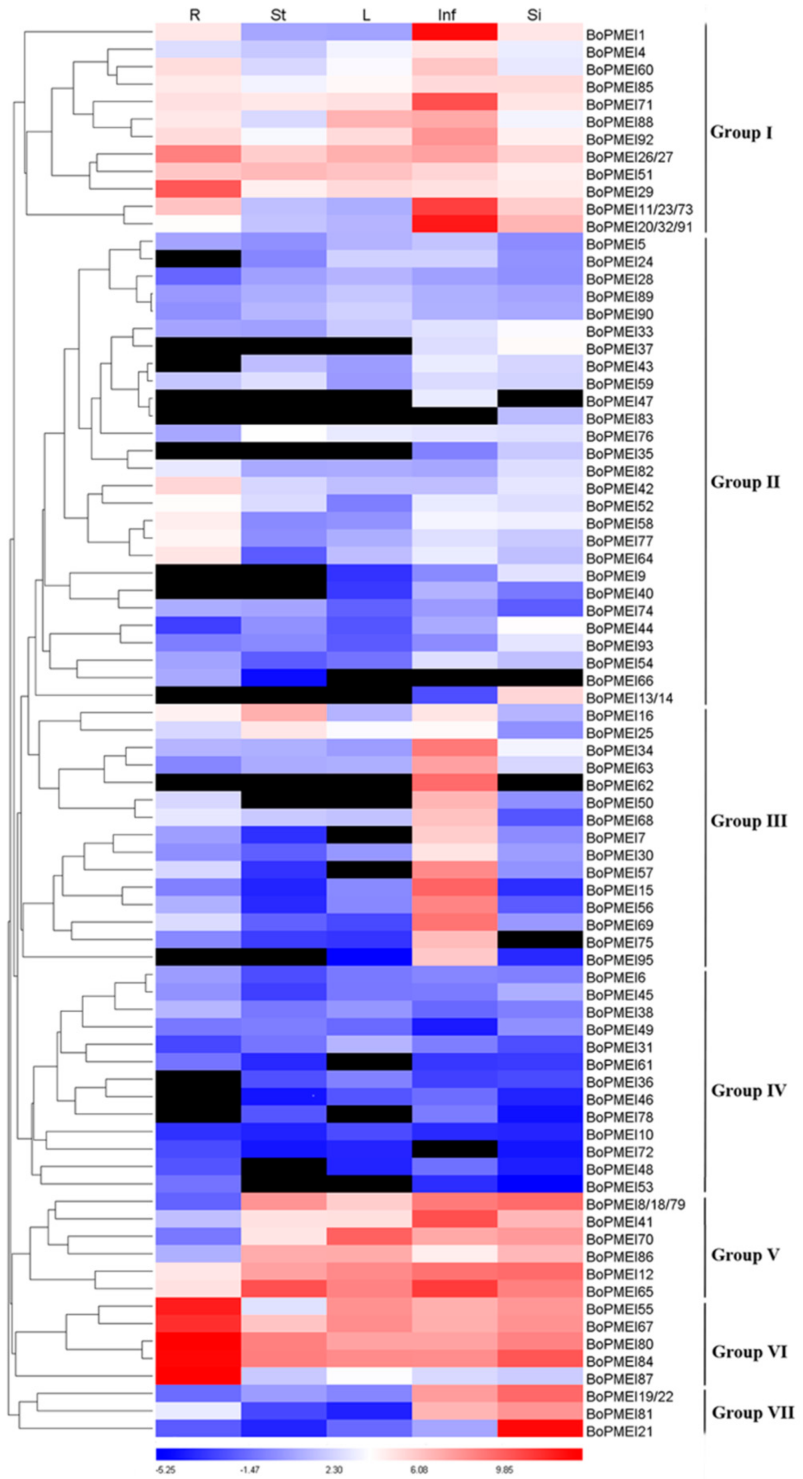 Ijms 19 03338 g005 Ijms 19 03338 g005