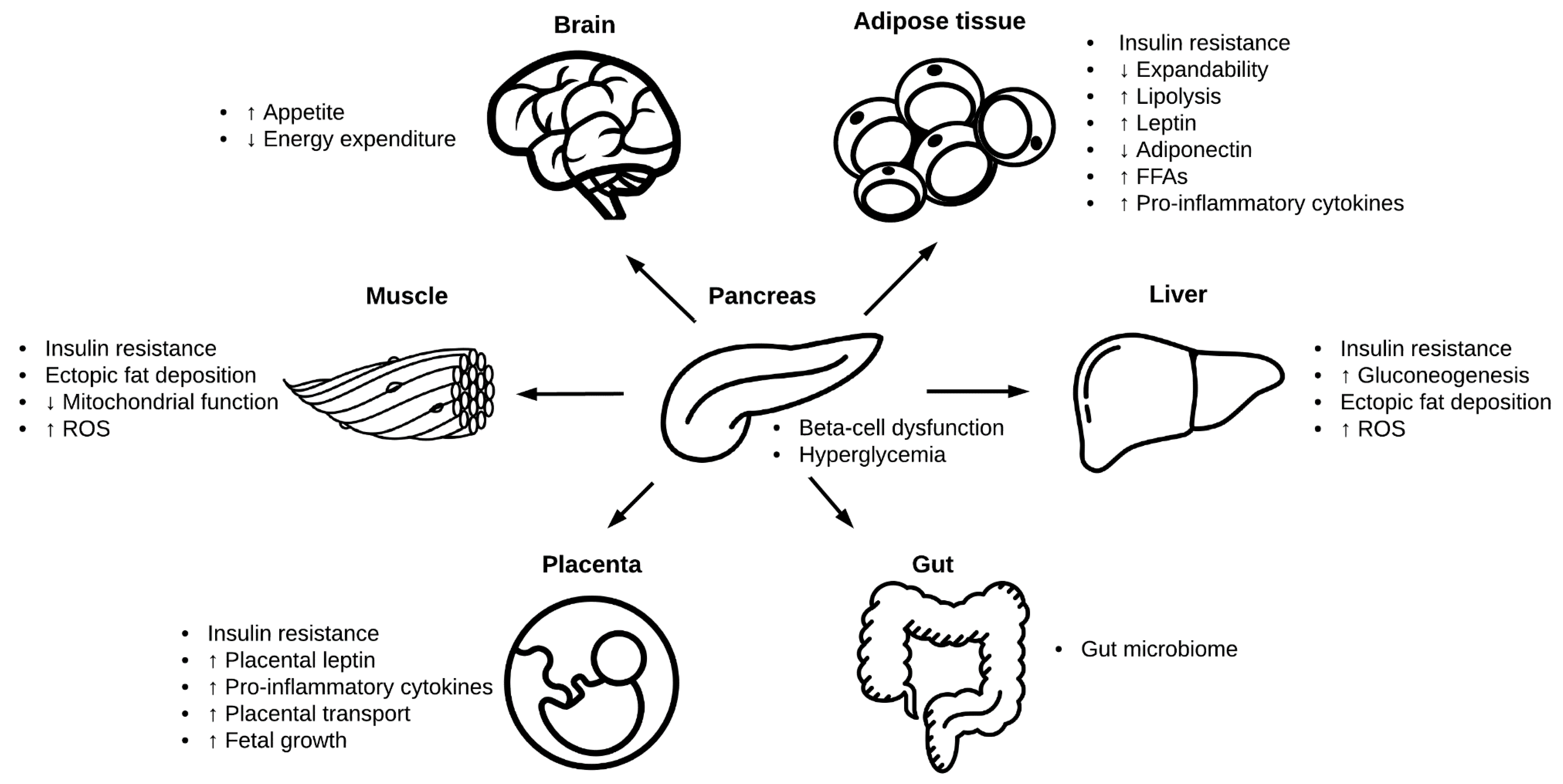 Diabetes mellitus диабет