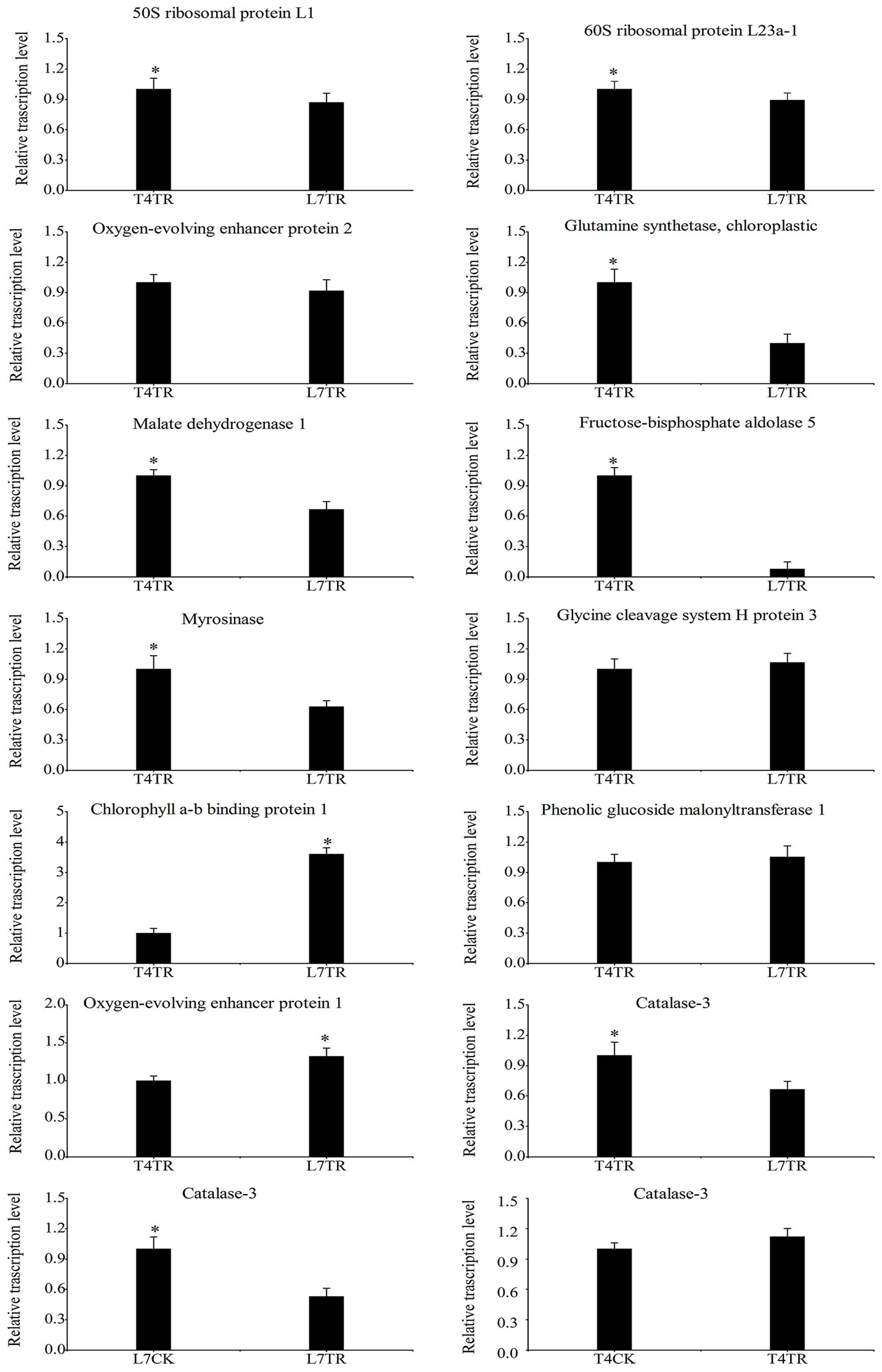 Ijms 19 03346 g008 Ijms 19 03346 g008