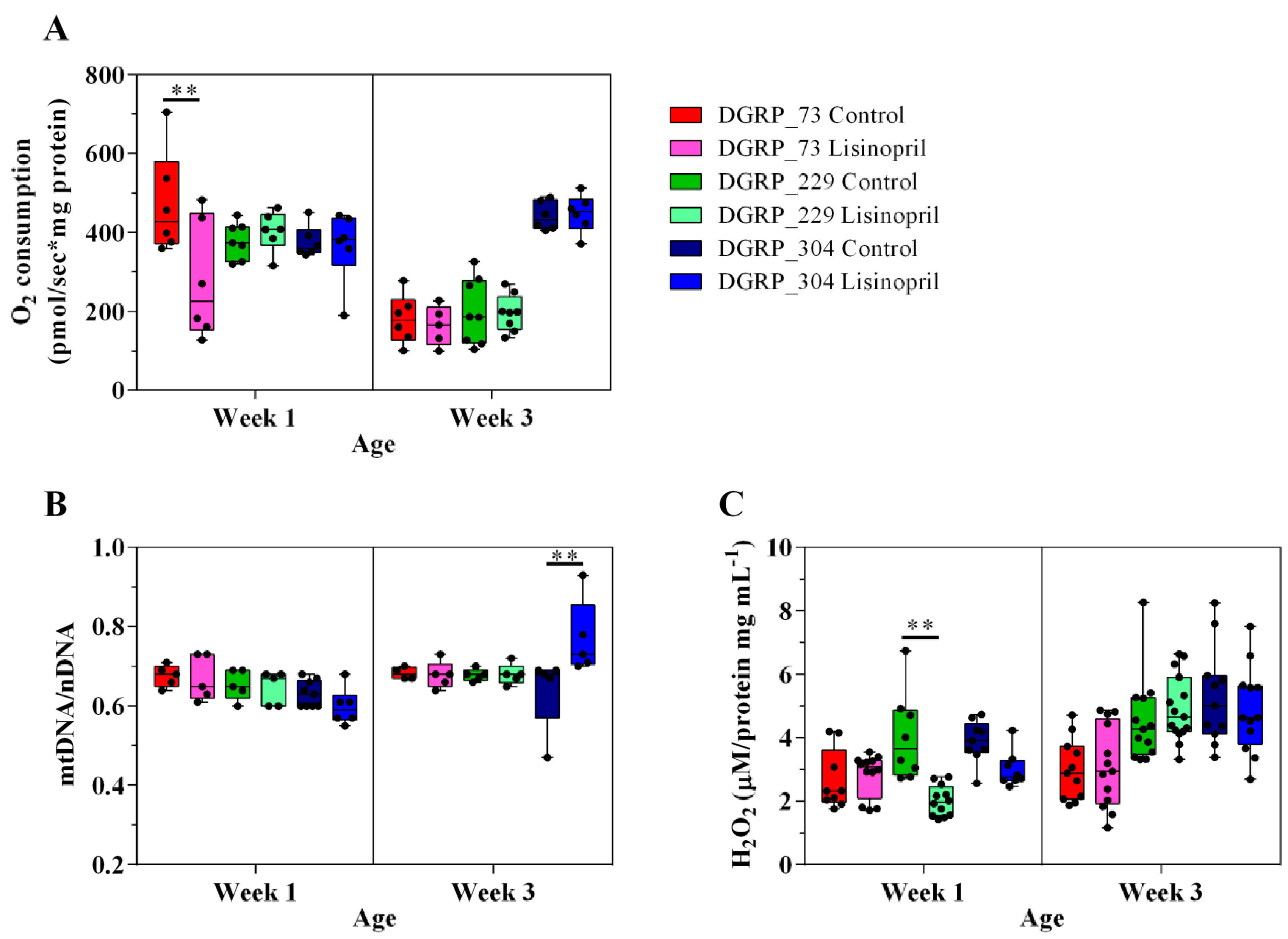 Ijms 19 03351 g001 Ijms 19 03351 g001