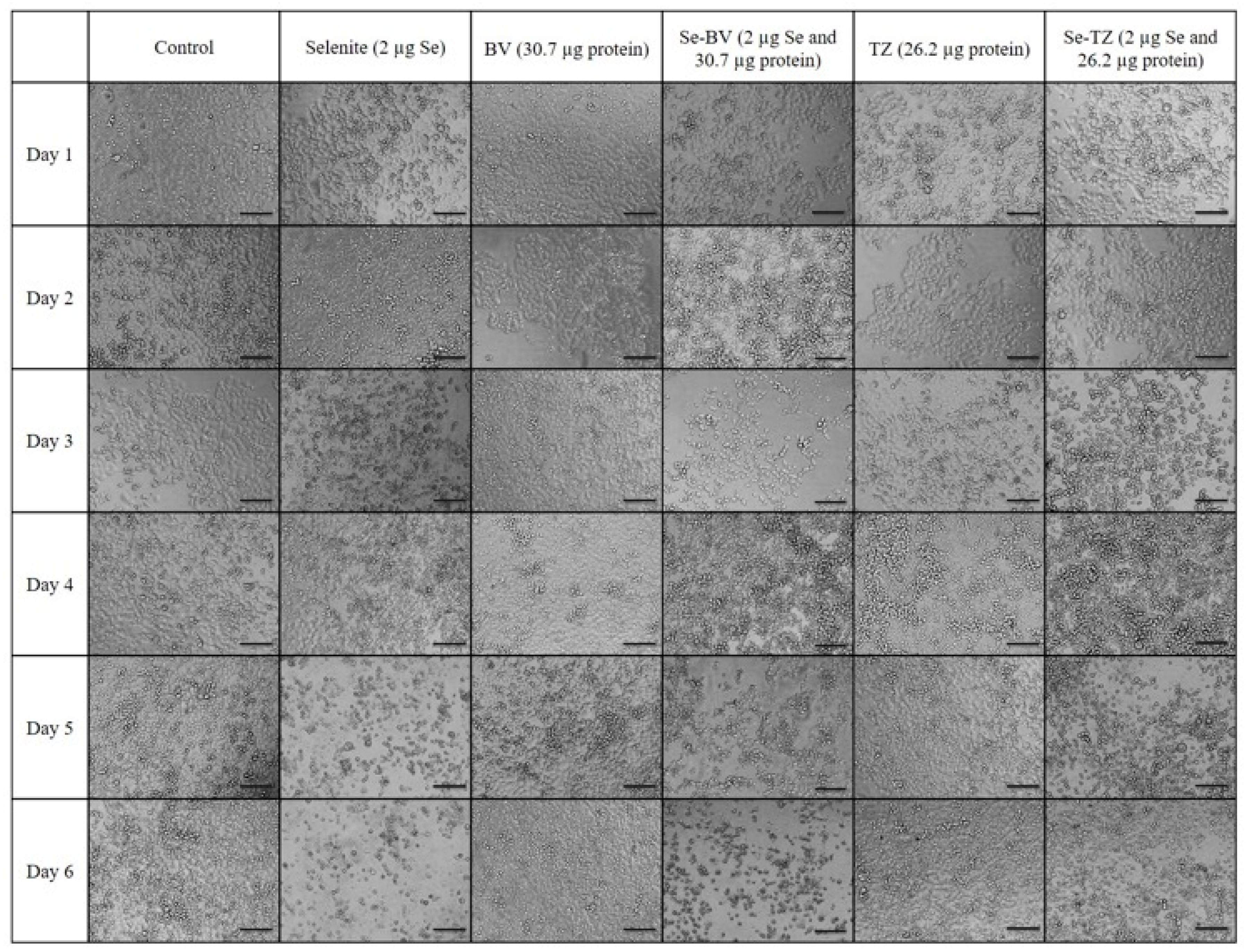 Ijms 19 03352 g008 Ijms 19 03352 g008