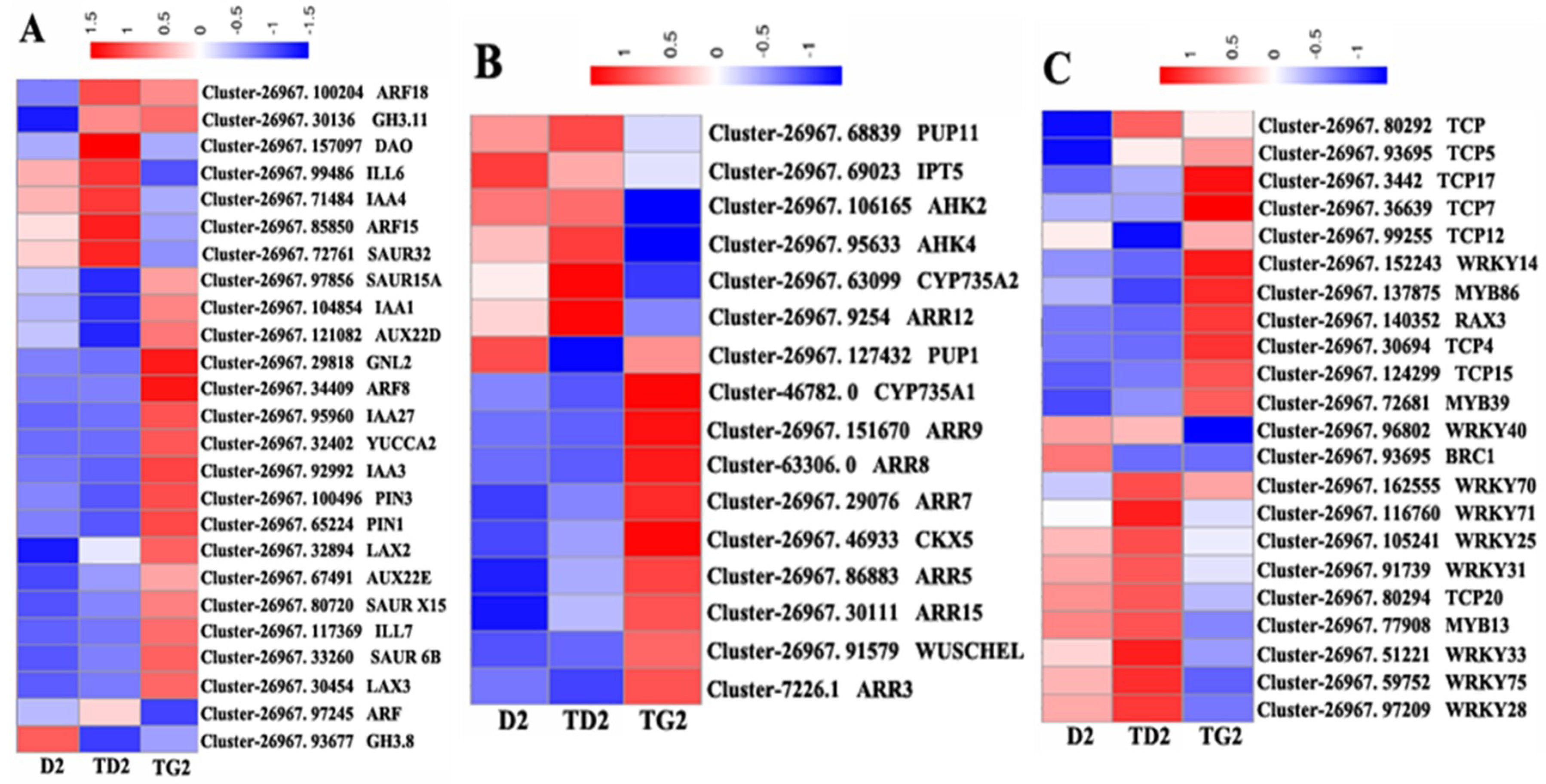 Ijms 19 03354 g006 Ijms 19 03354 g006