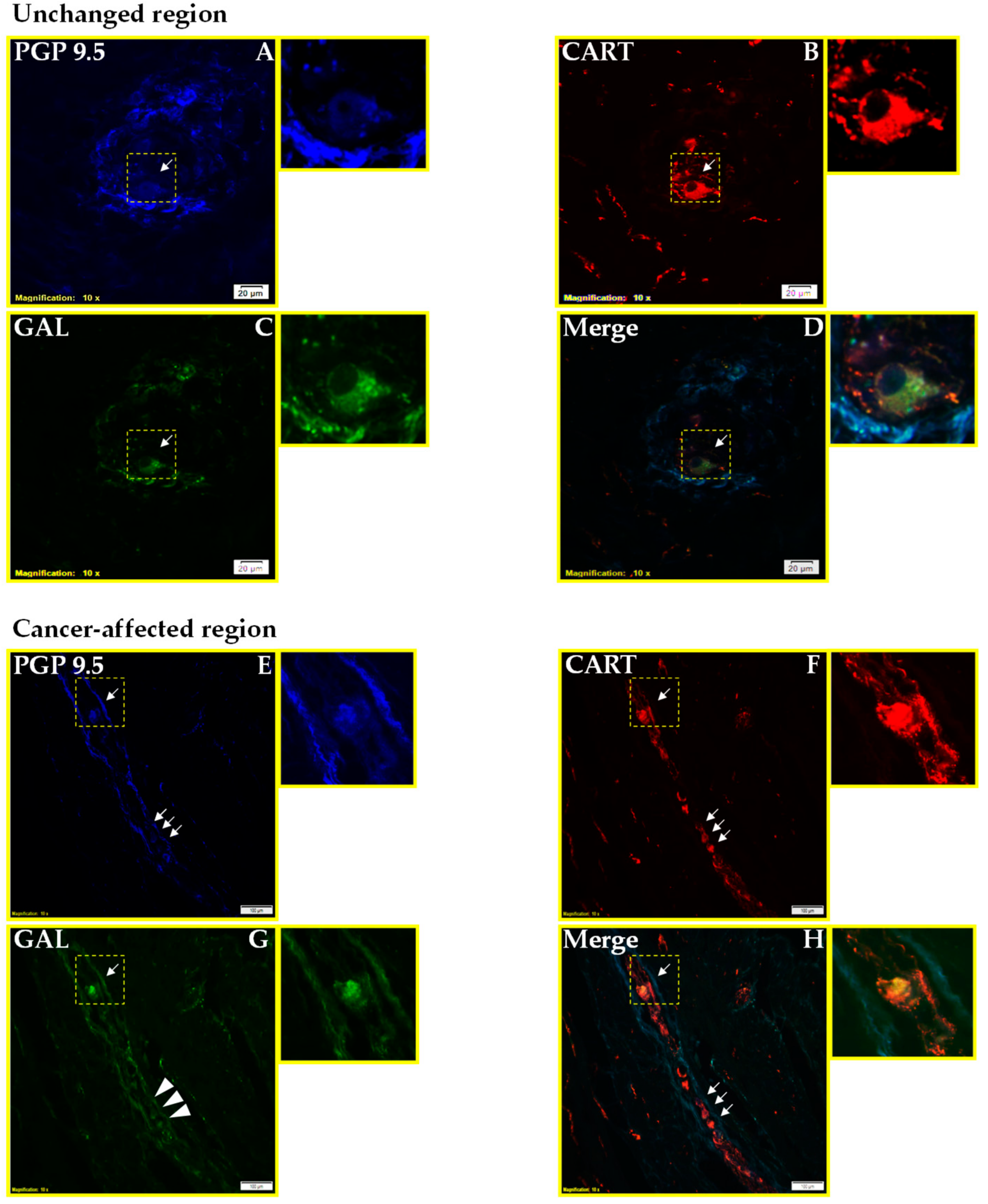 Ijms 19 03357 g002 Ijms 19 03357 g002
