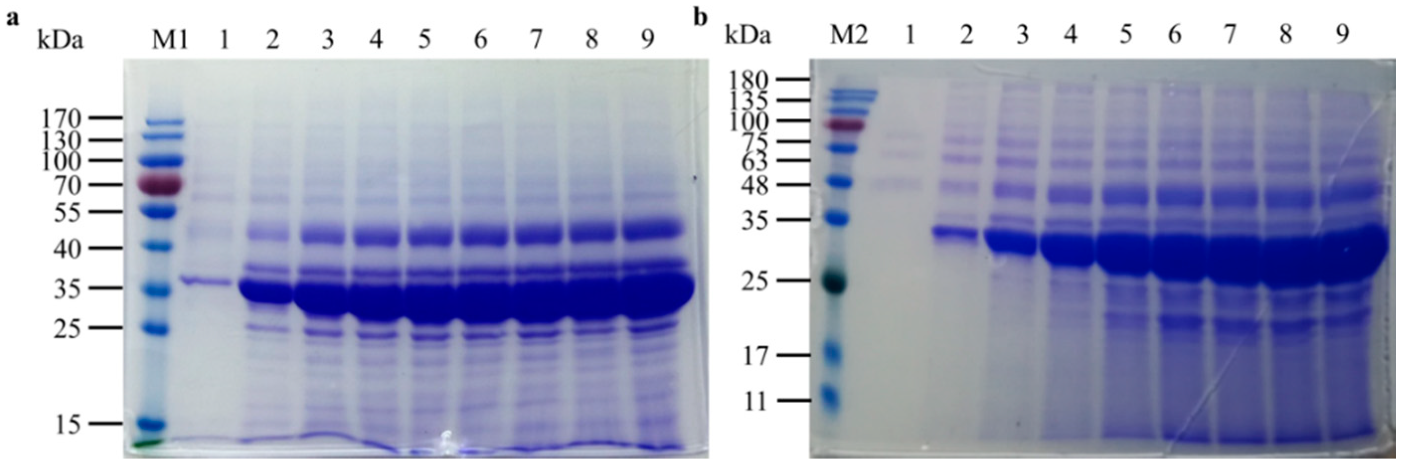 Ijms 19 03372 g005 Ijms 19 03372 g005