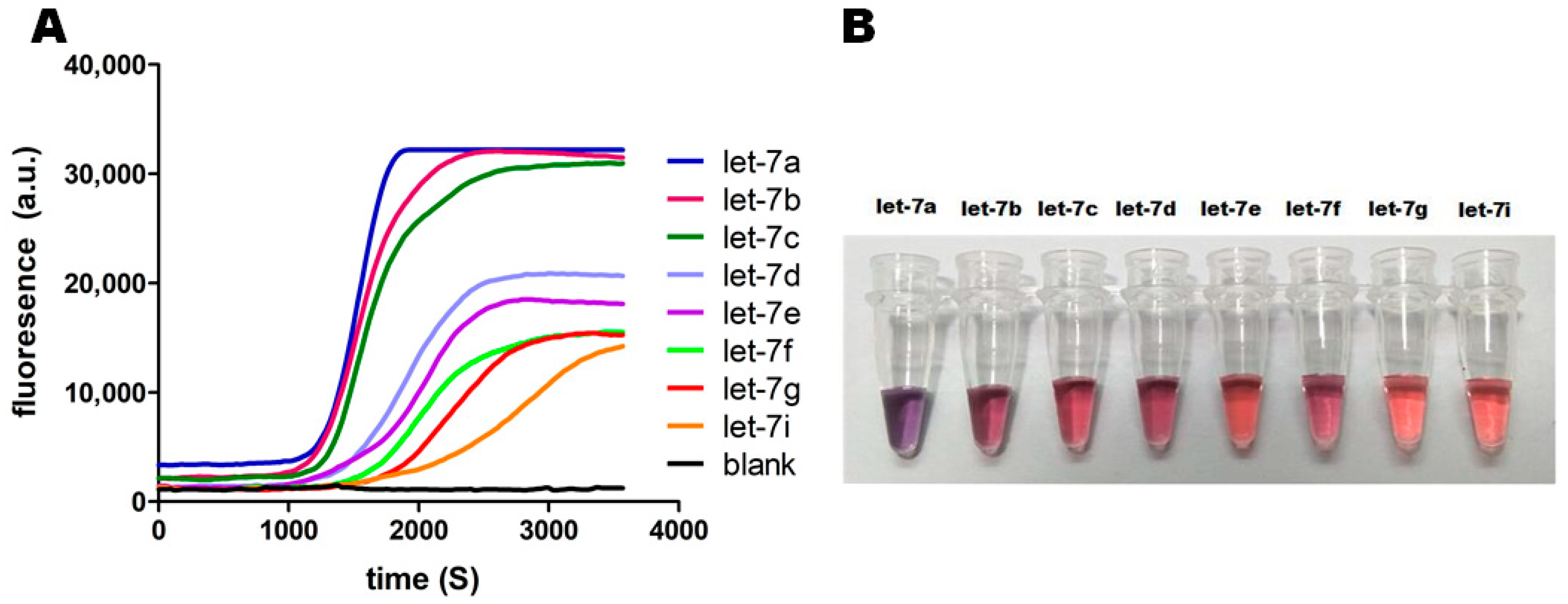 Ijms 19 03374 g006 Ijms 19 03374 g006