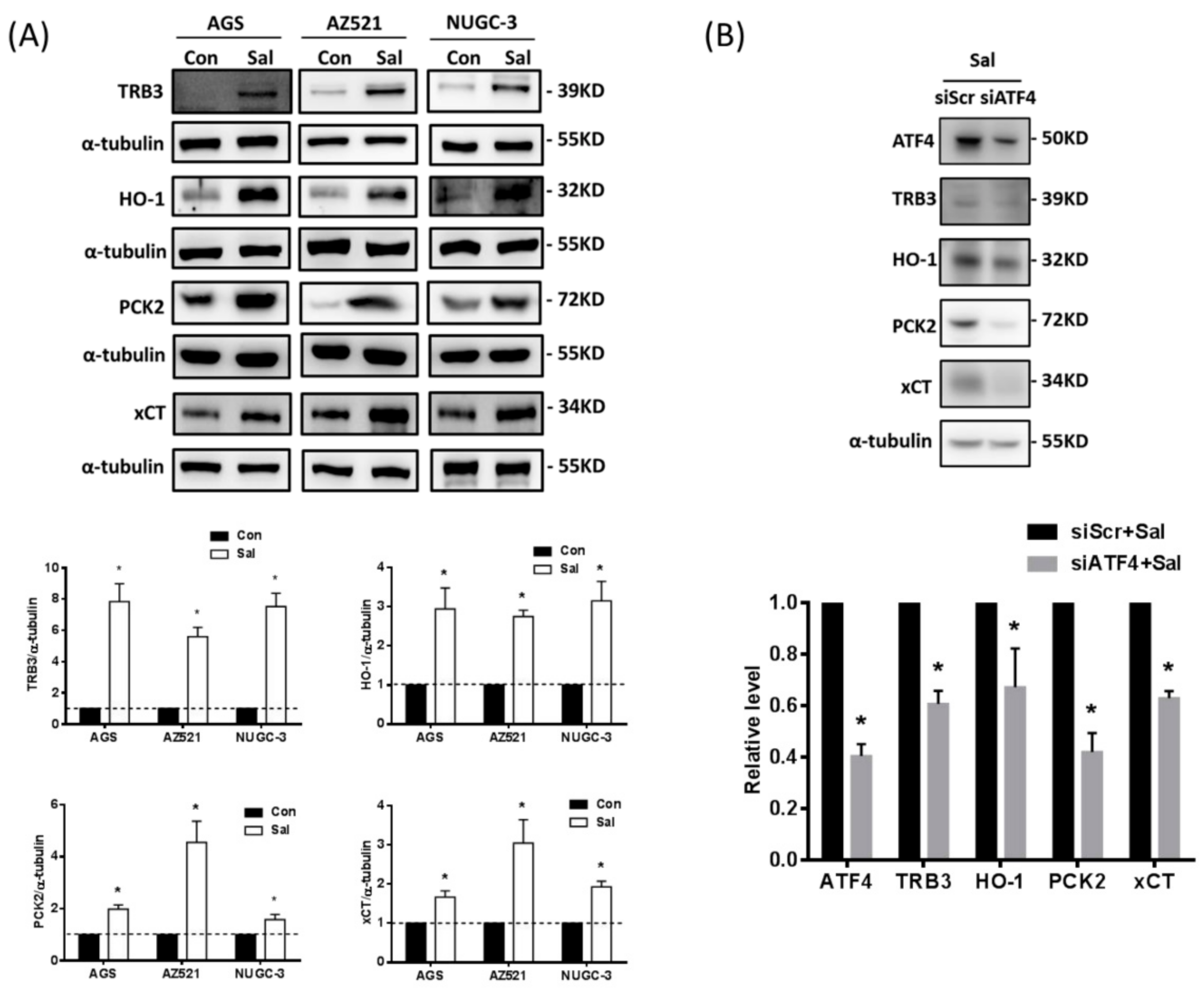 Ijms 19 03389 g003 Ijms 19 03389 g003