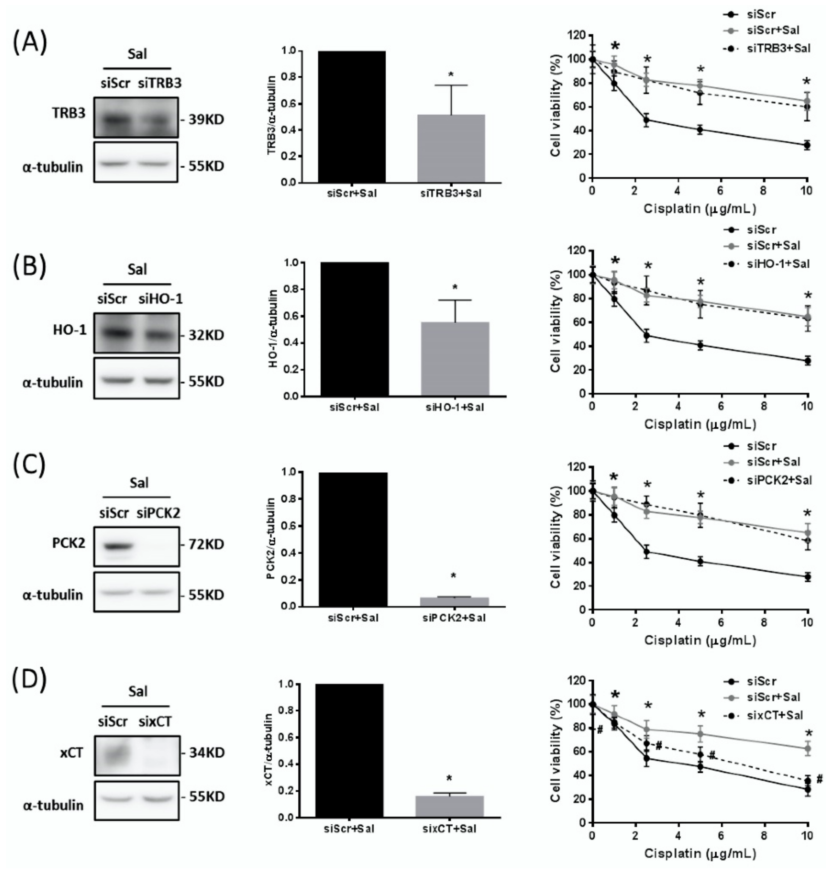 Ijms 19 03389 g004 Ijms 19 03389 g004
