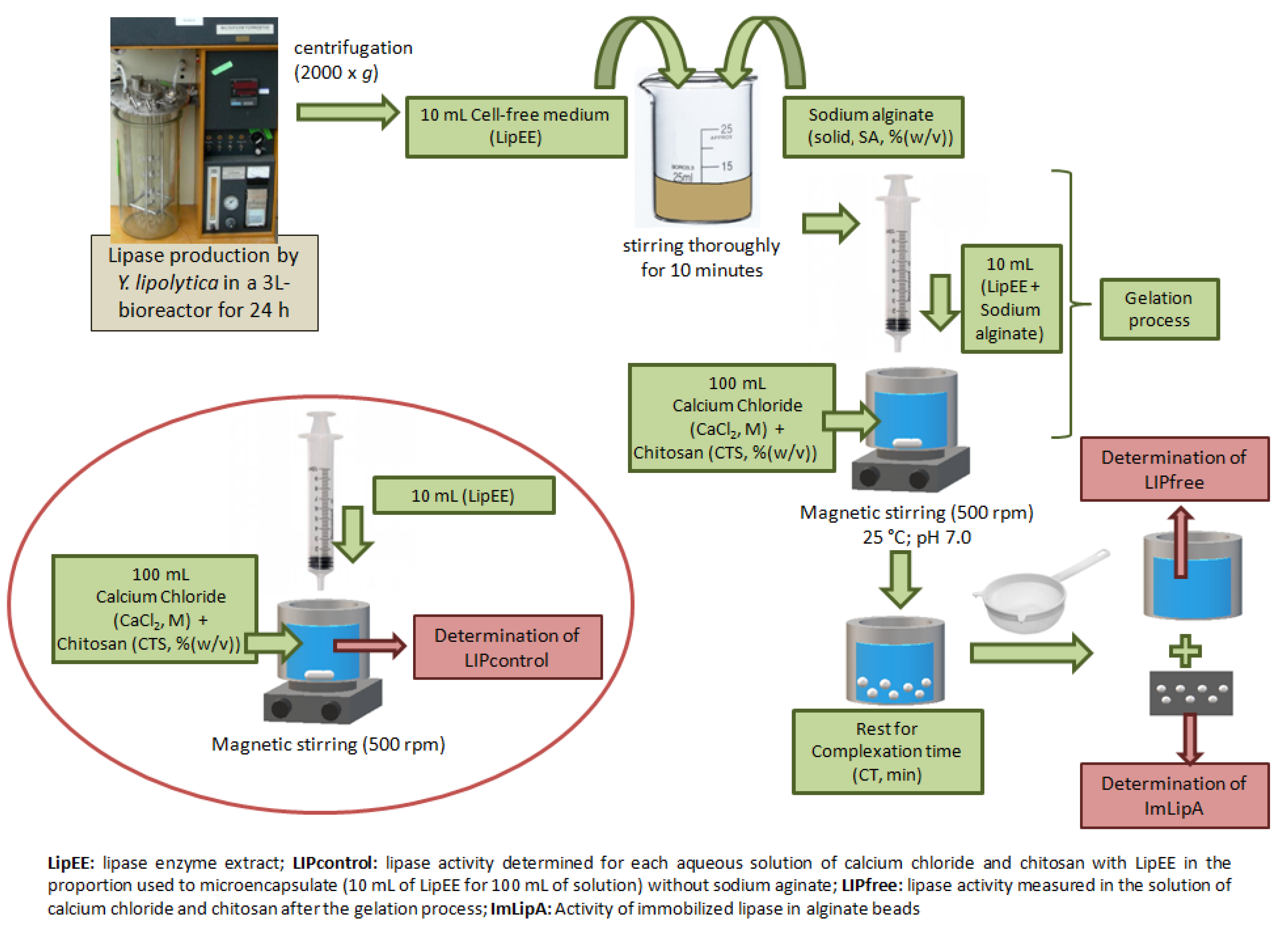 Ijms 19 03393 g007 550
