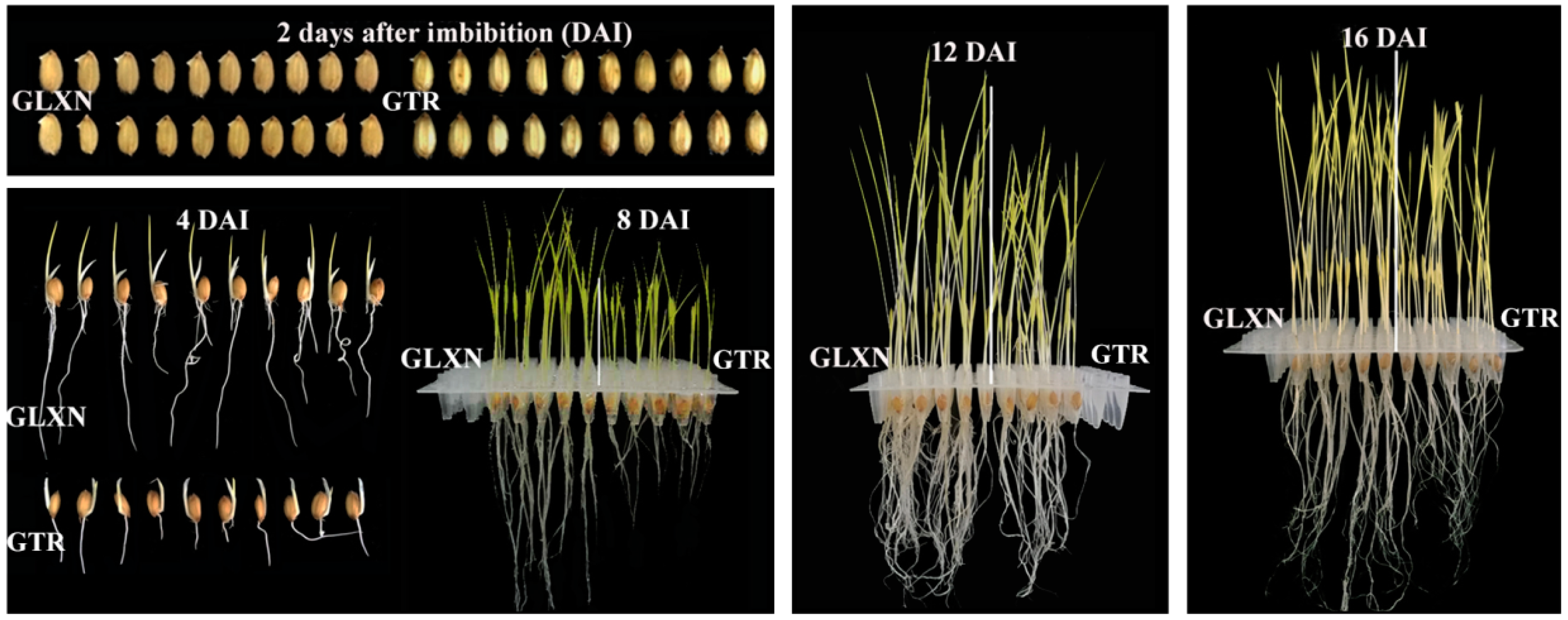 Ijms 19 03397 g001 Ijms 19 03397 g001