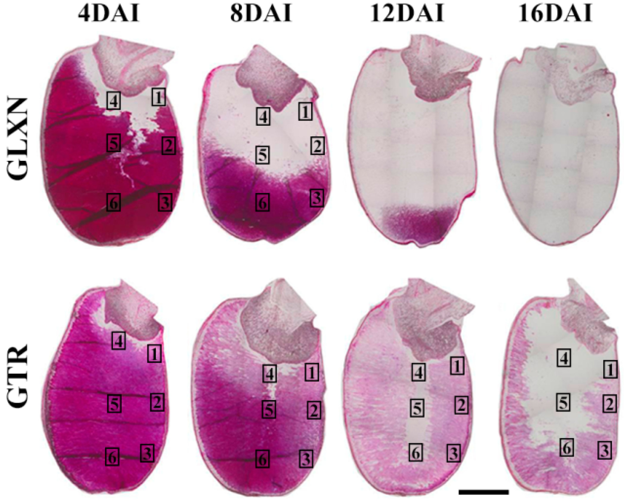 Ijms 19 03397 g006 Ijms 19 03397 g006
