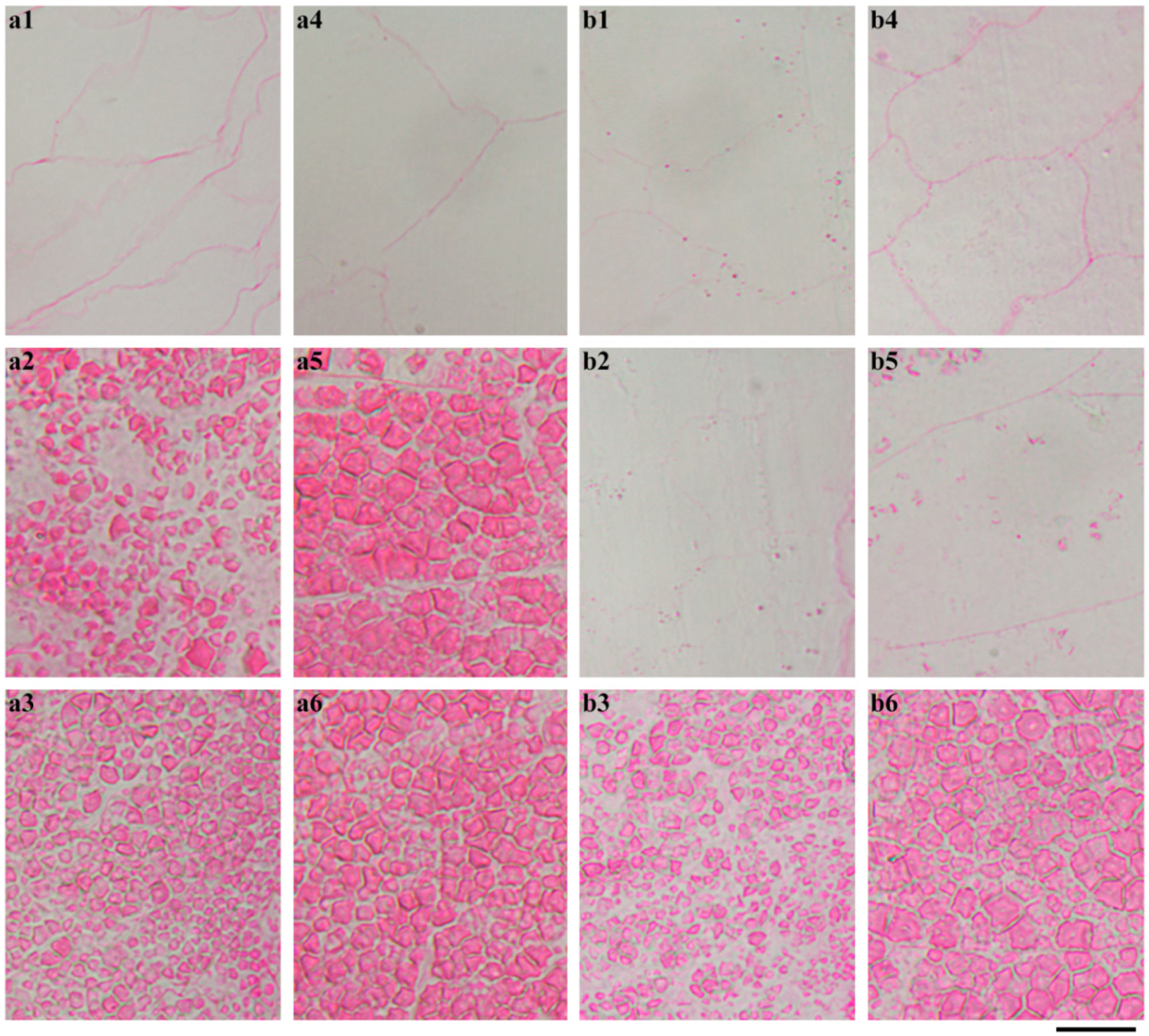 Ijms 19 03397 g007 Ijms 19 03397 g007