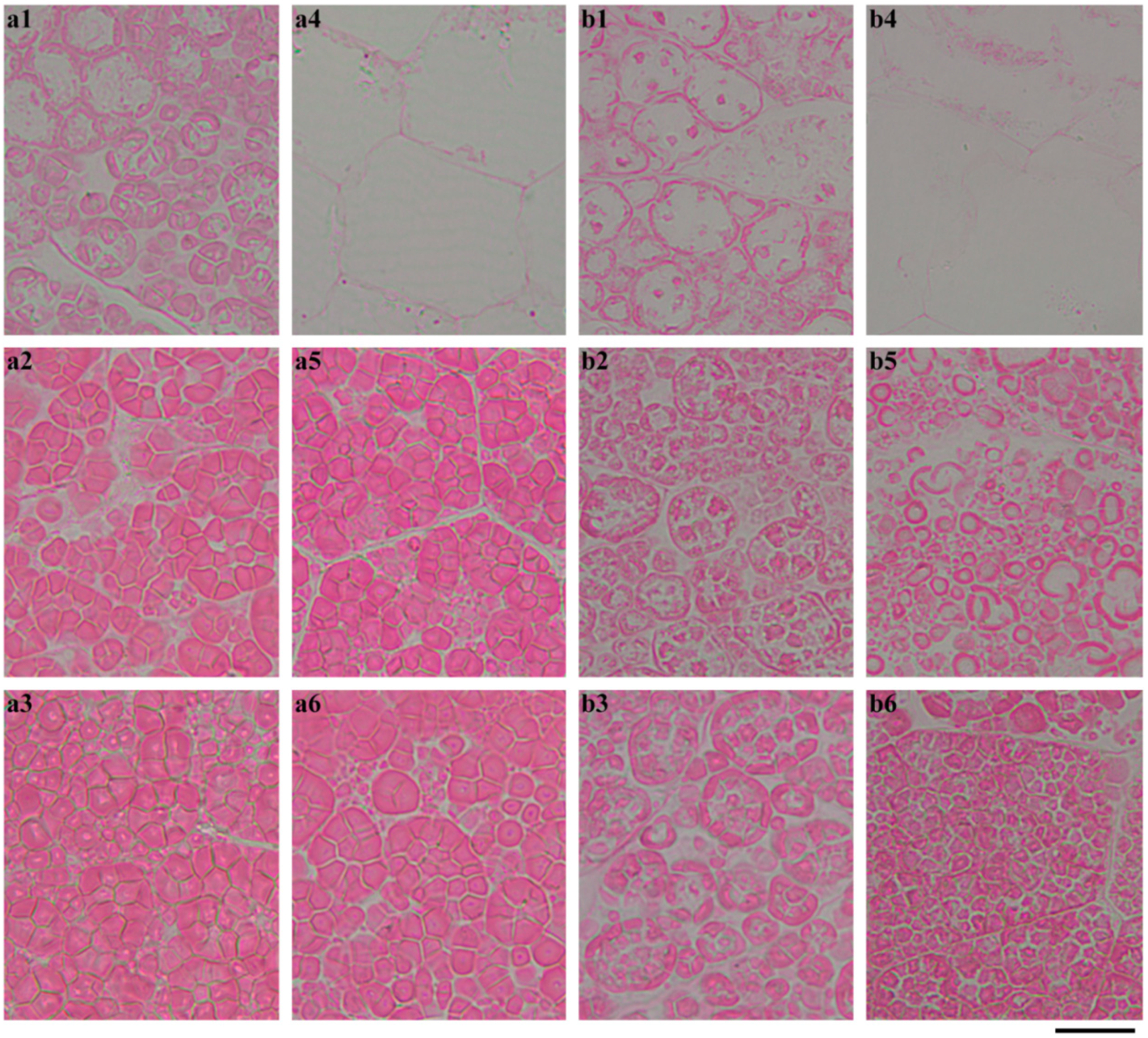 Ijms 19 03397 g008 Ijms 19 03397 g008