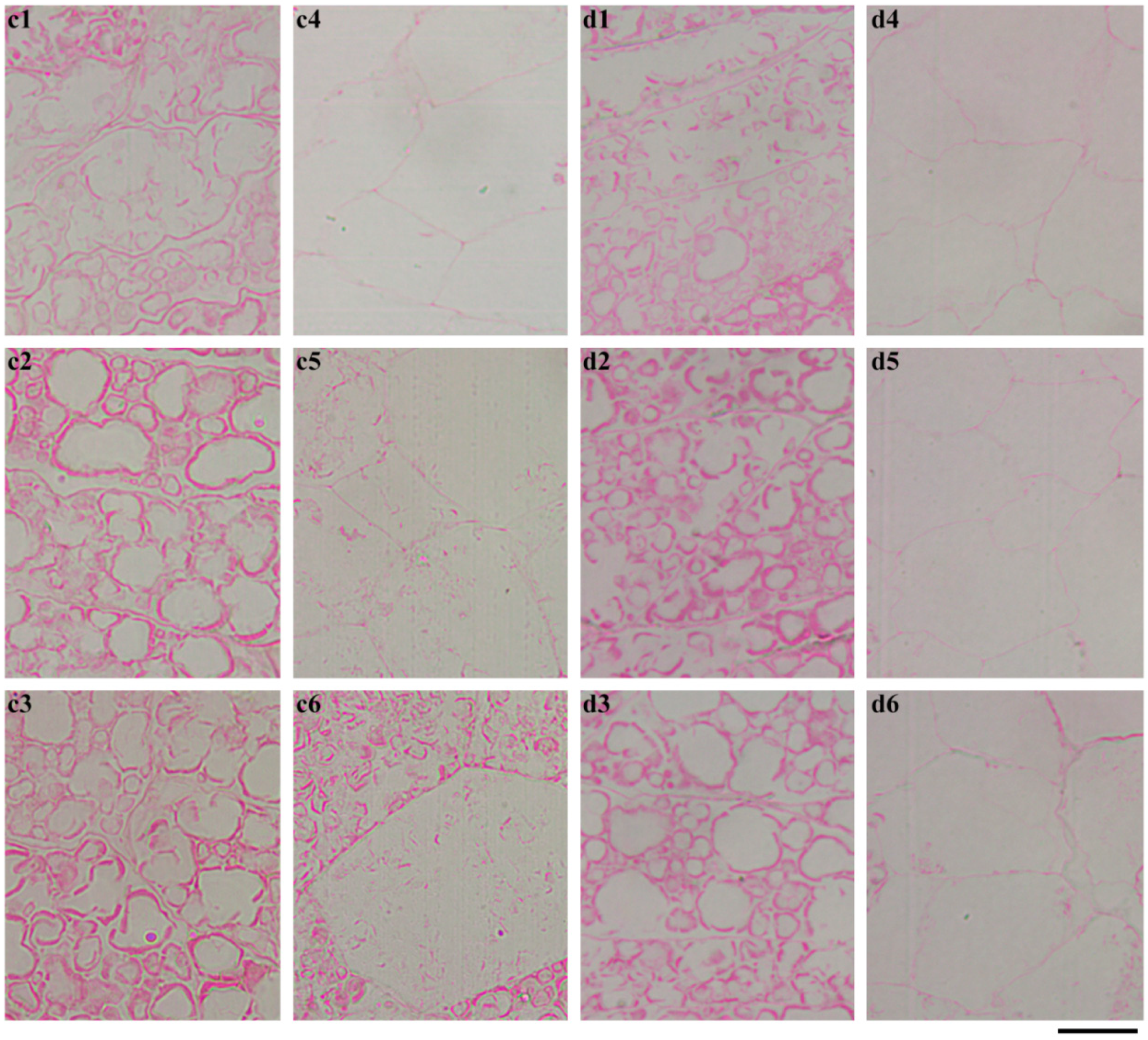 Ijms 19 03397 g009 Ijms 19 03397 g009