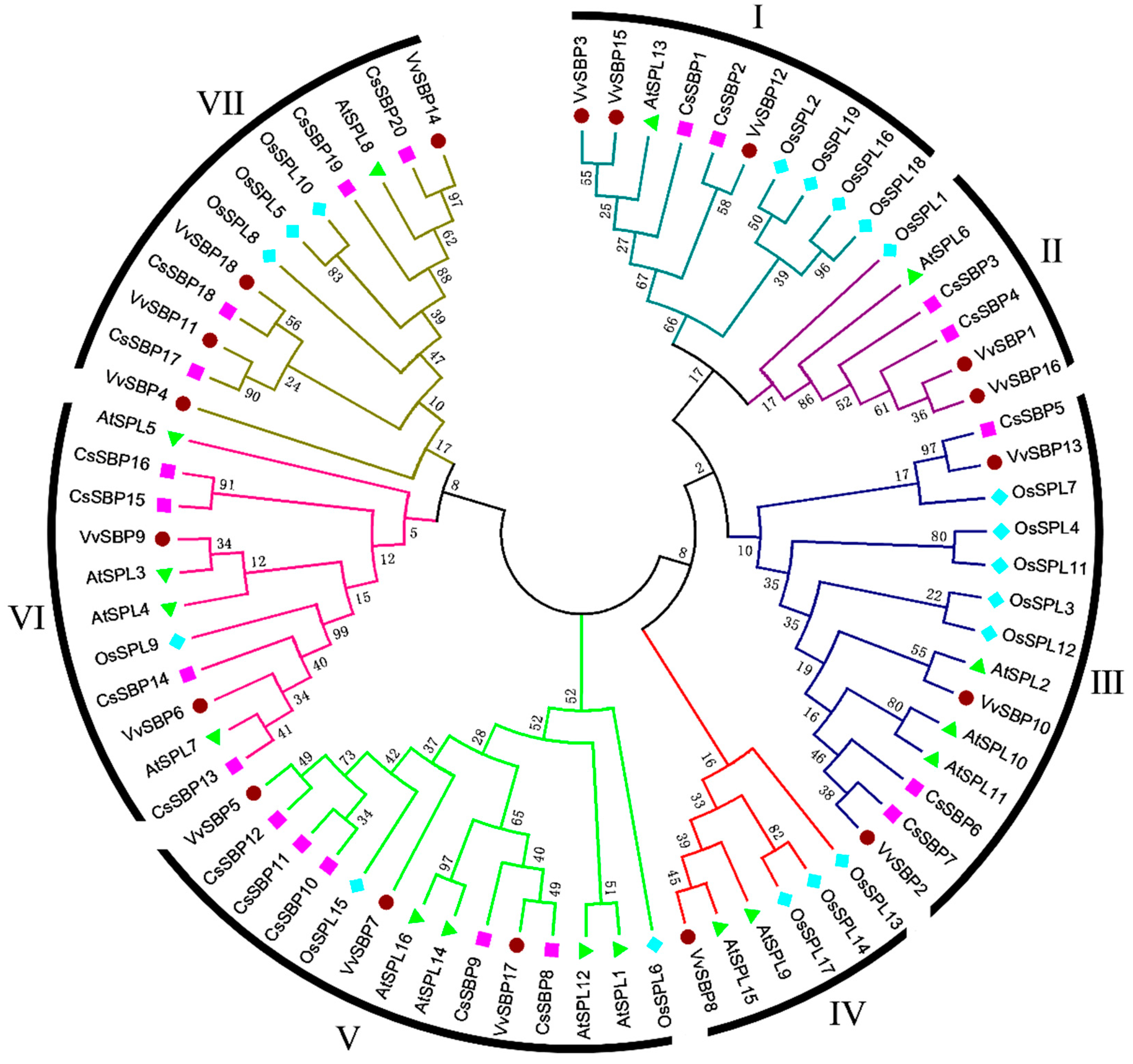 Ijms 19 03404 g003 Ijms 19 03404 g003