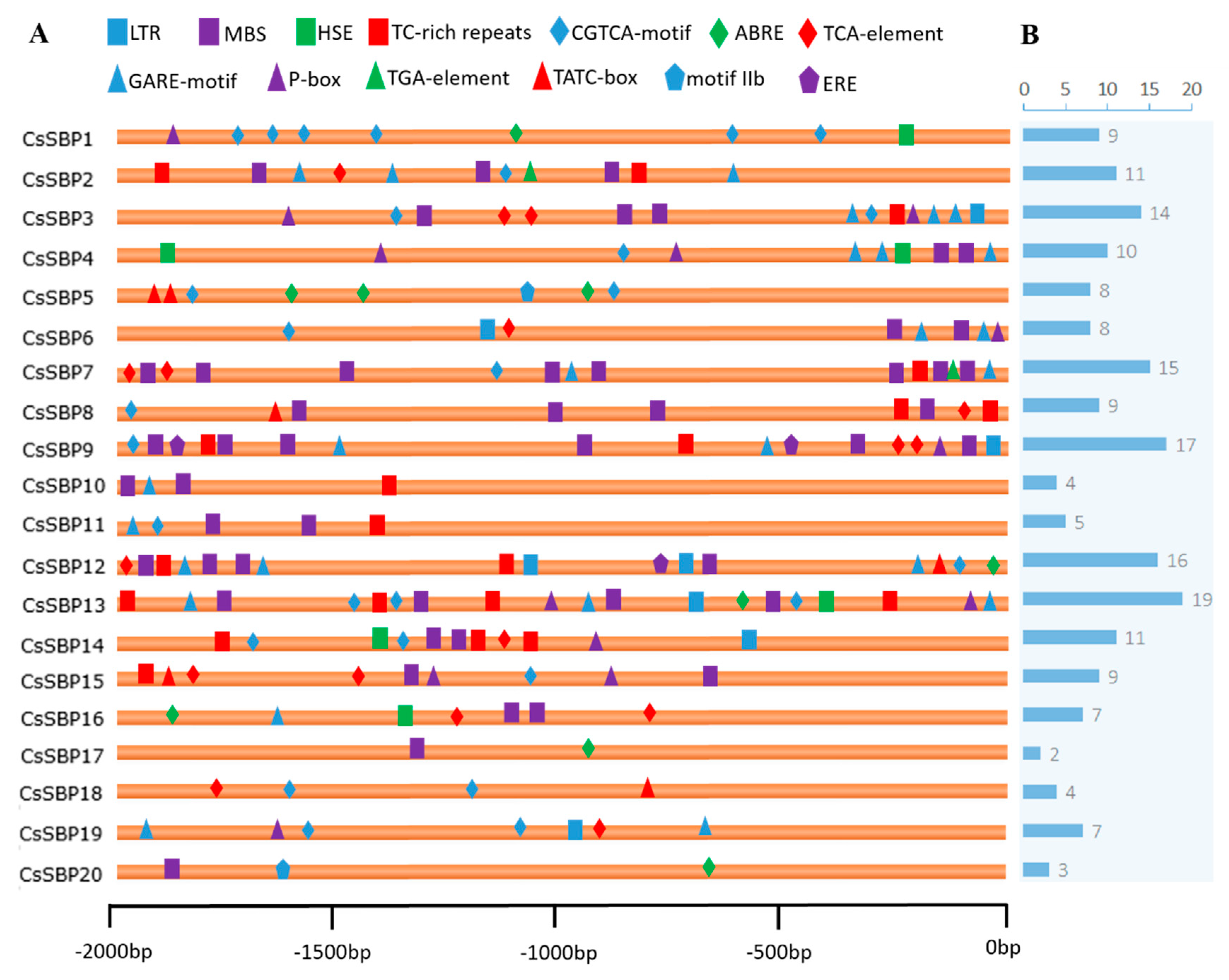 Ijms 19 03404 g006 Ijms 19 03404 g006