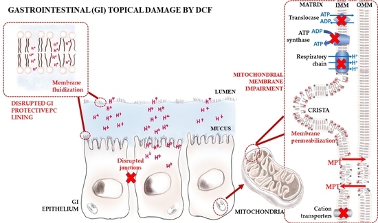 Ijms Free Full Text A Molecular Biophysical Approach To Diclofenac Topical Gastrointestinal Damage Html