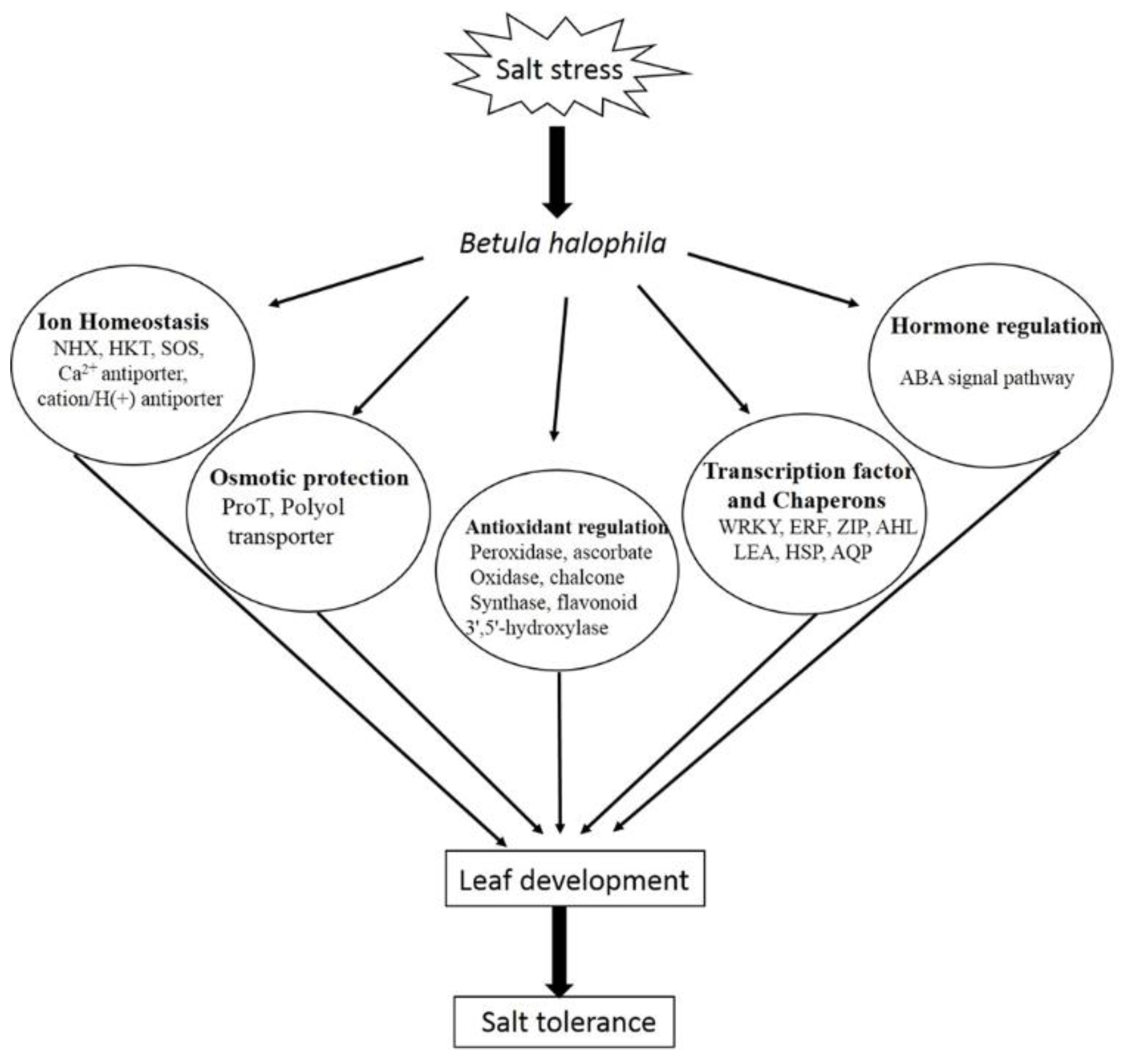 Ijms 19 03412 g007 Ijms 19 03412 g007