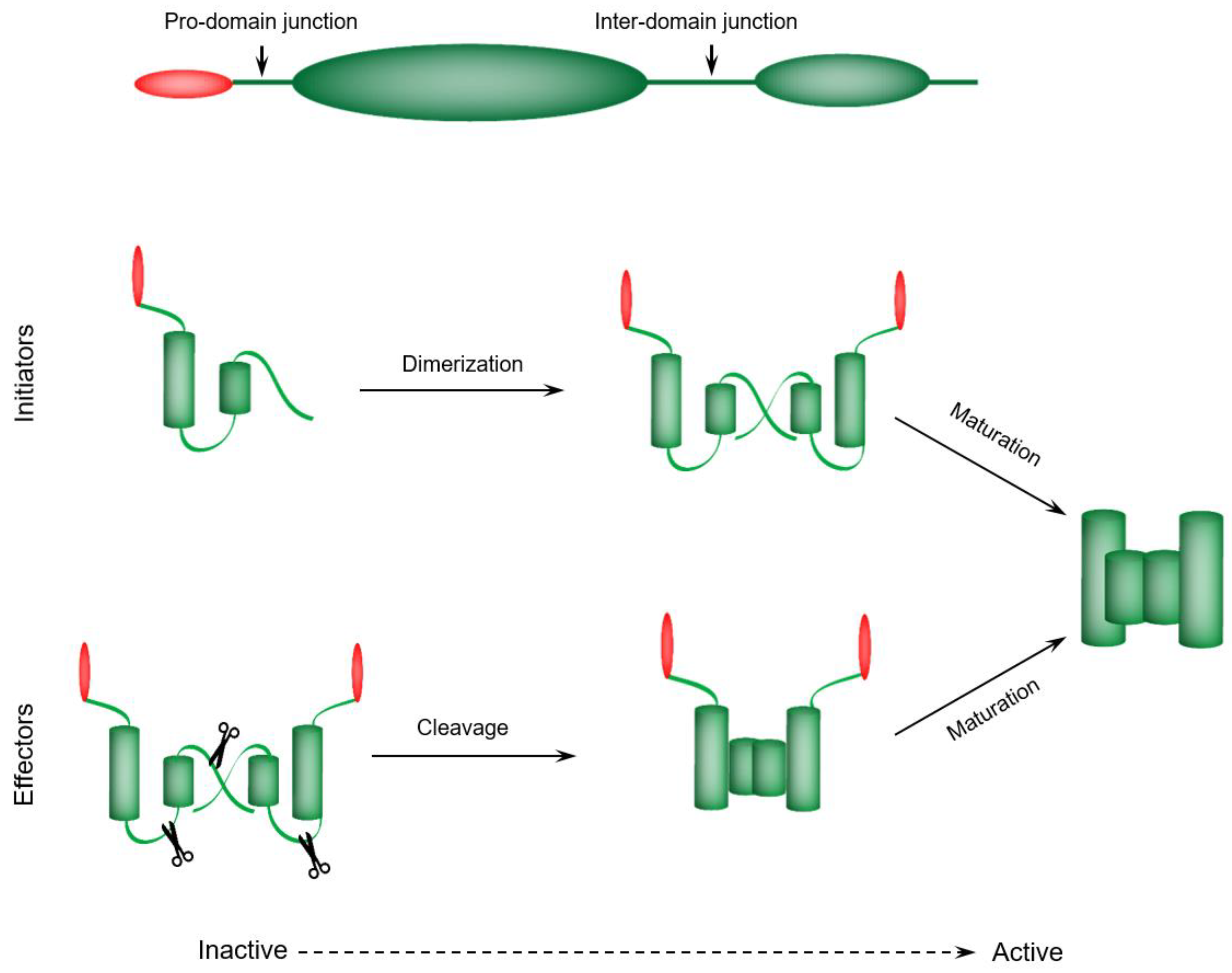 Ijms 19 03414 g003 Ijms 19 03414 g003