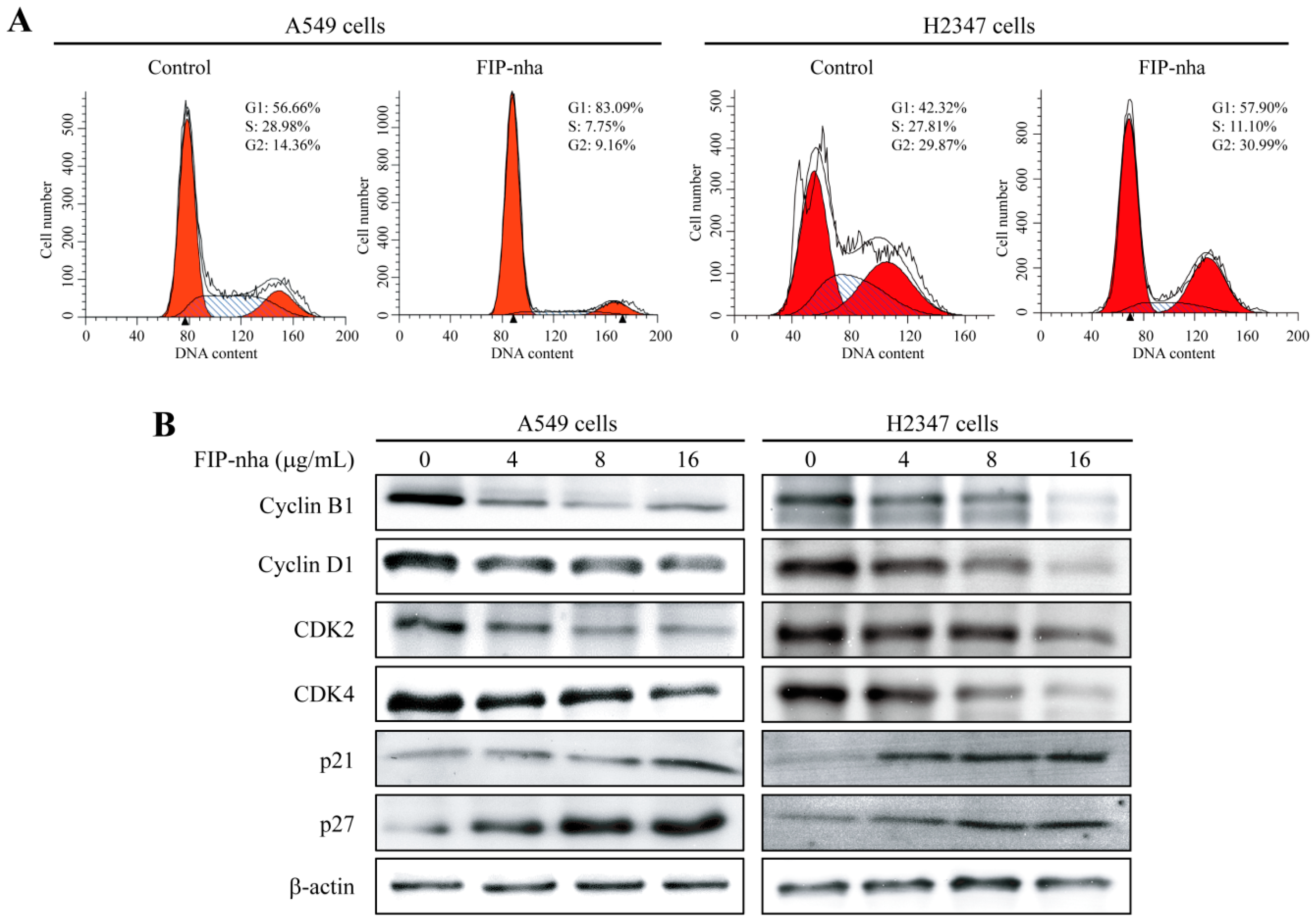 Ijms 19 03429 g004 Ijms 19 03429 g004