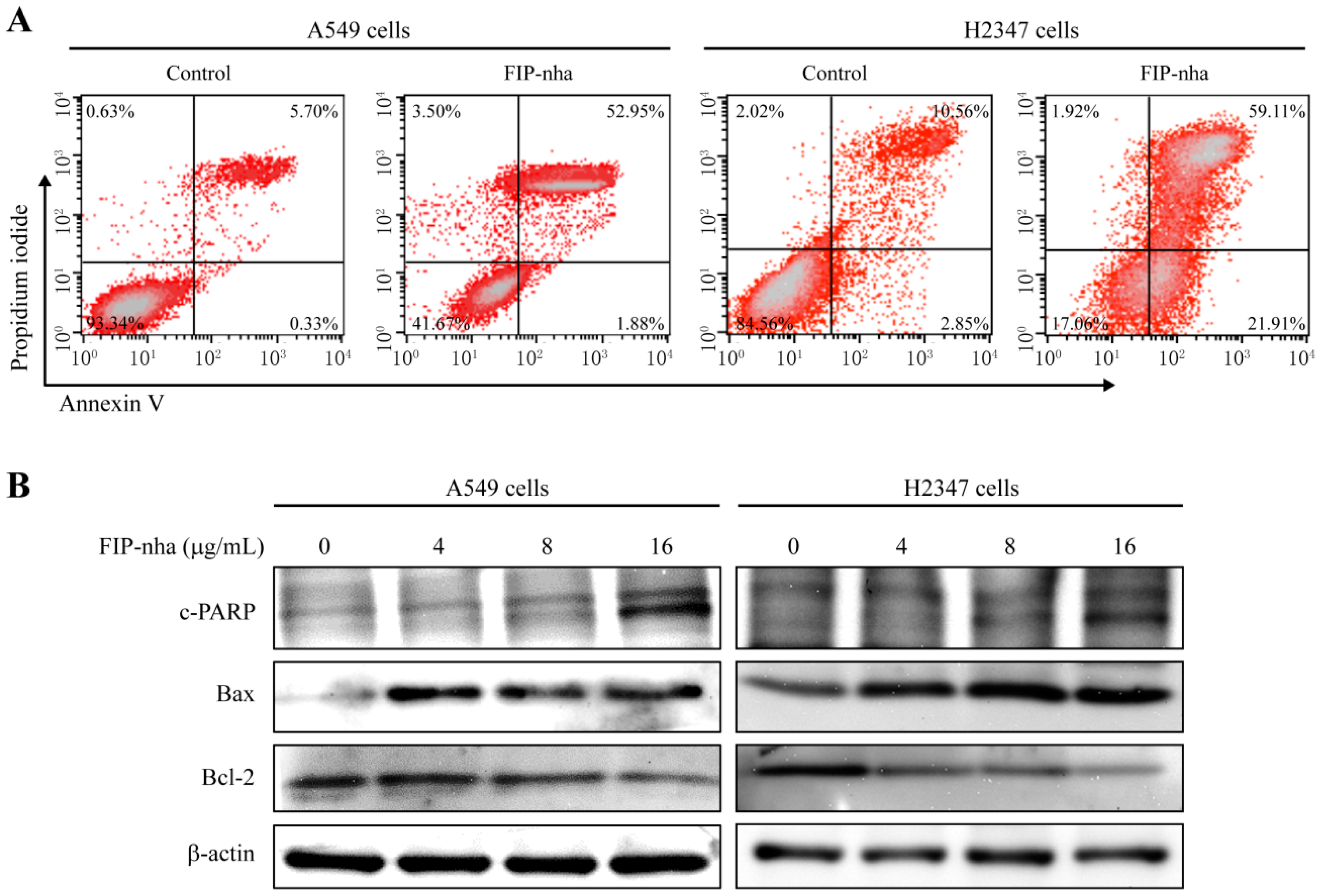 Ijms 19 03429 g005 Ijms 19 03429 g005