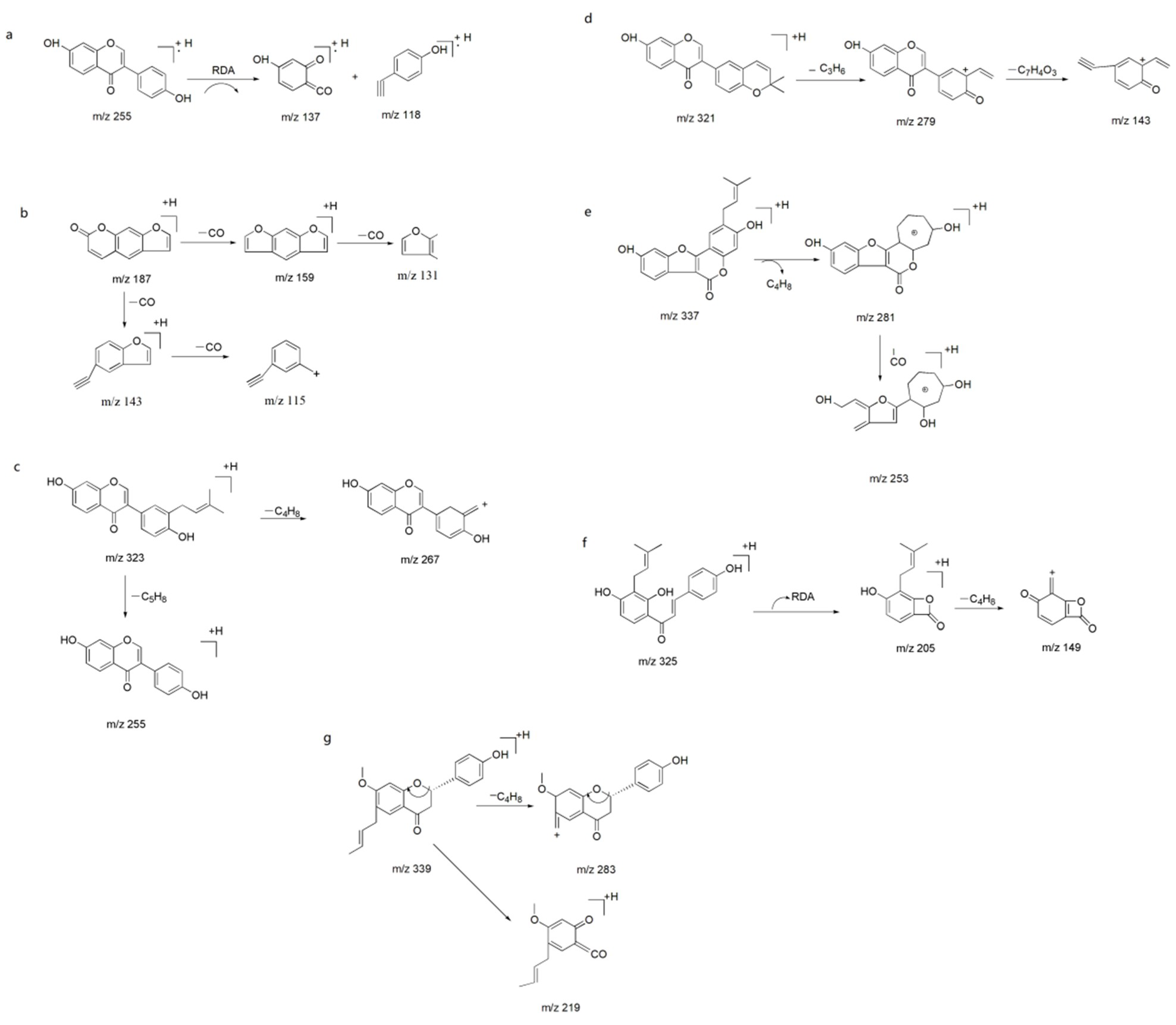 Ijms 19 03439 g005 Ijms 19 03439 g005