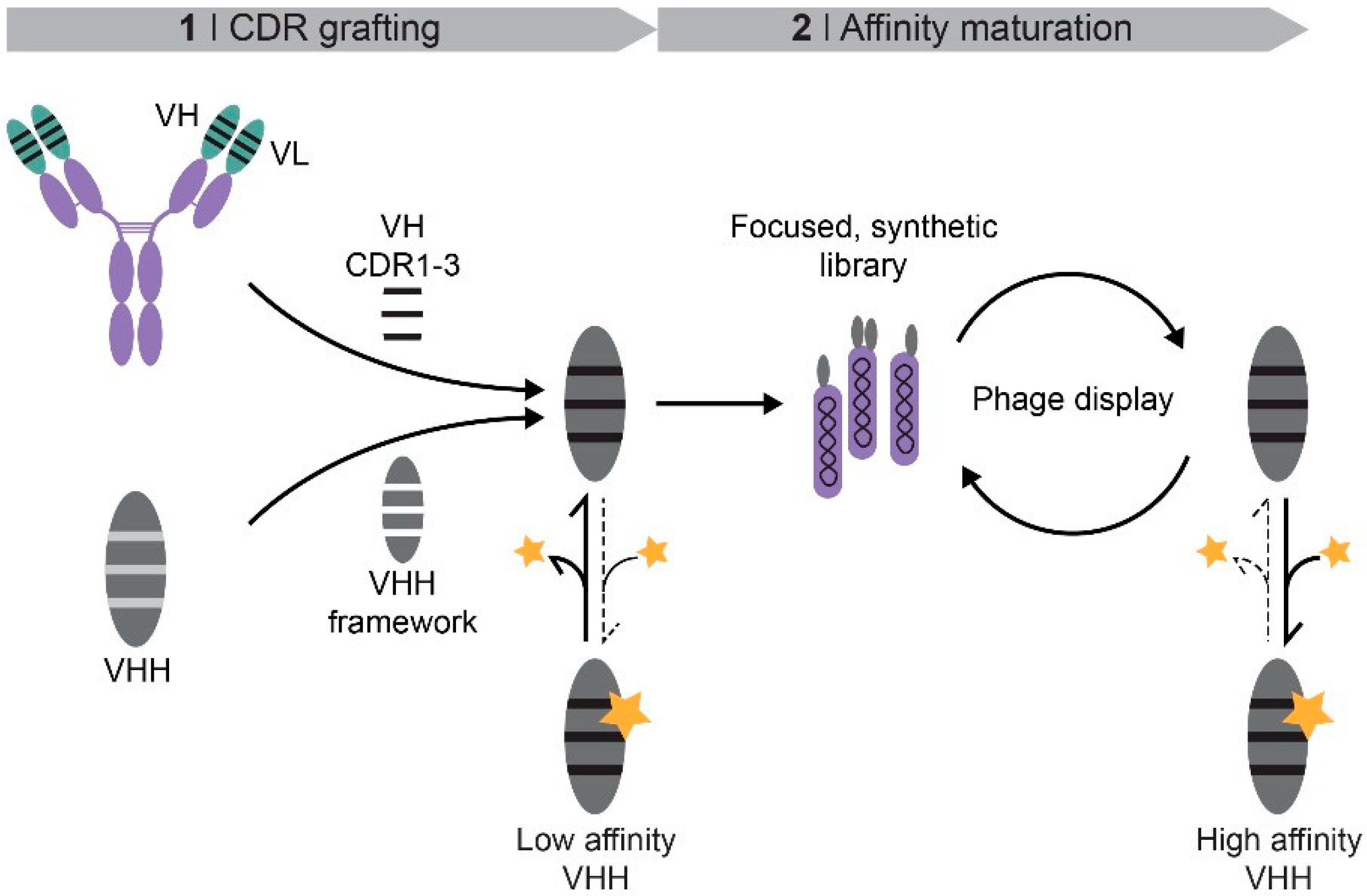 Ijms 19 03444 g001 Ijms 19 03444 g001