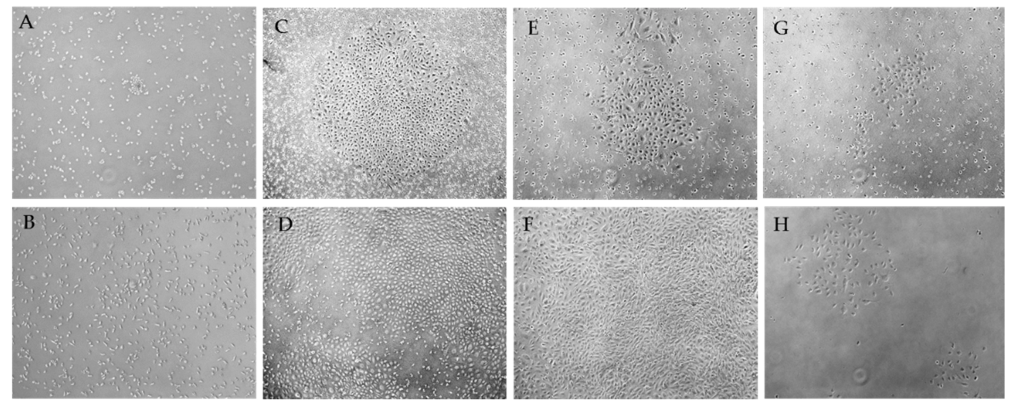 Ijms 19 03453 g001 Ijms 19 03453 g001