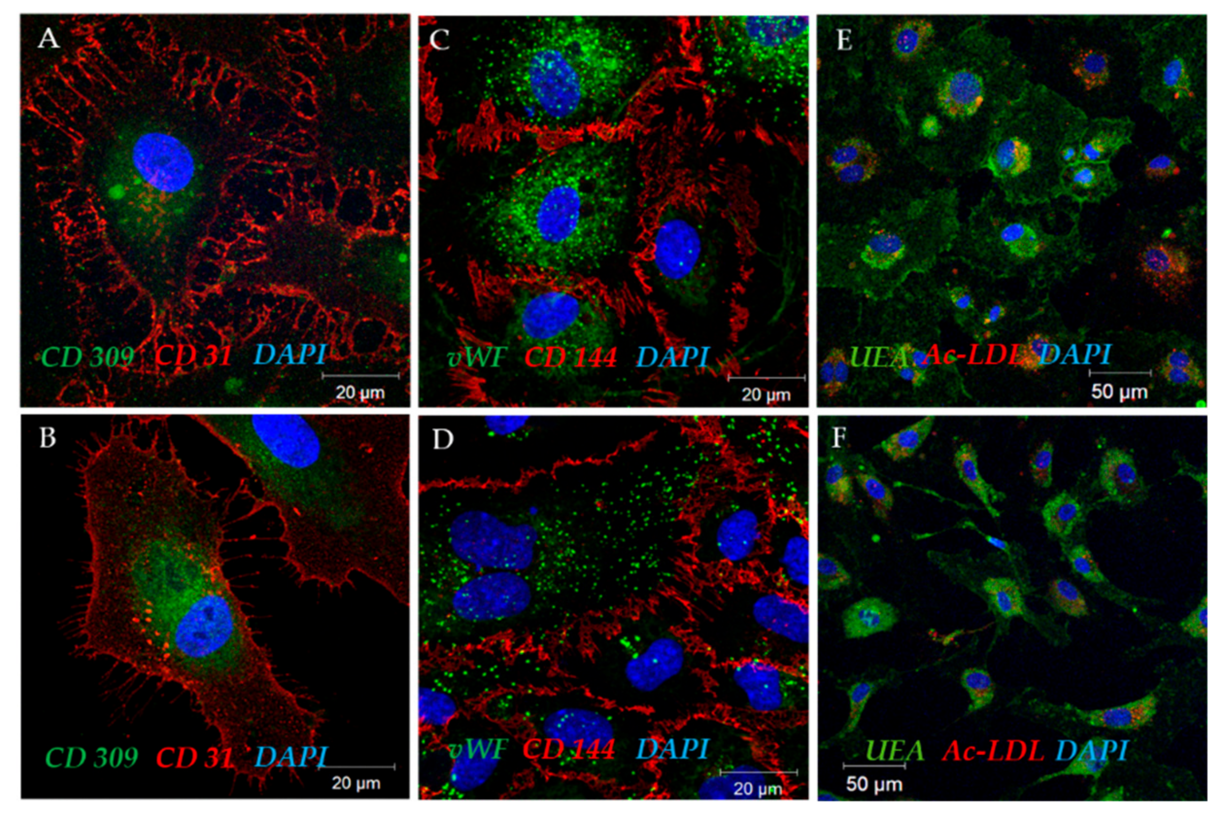 Ijms 19 03453 g004 Ijms 19 03453 g004