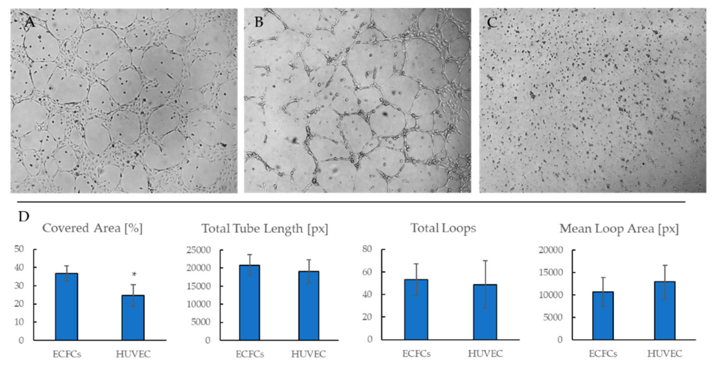 Ijms 19 03453 g005 Ijms 19 03453 g005