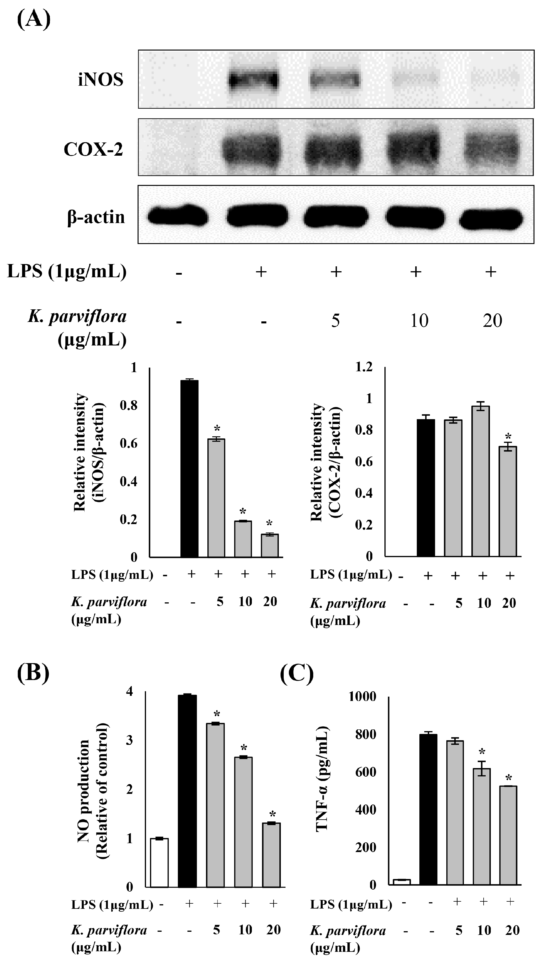 Ijms 19 03457 g002 Ijms 19 03457 g002