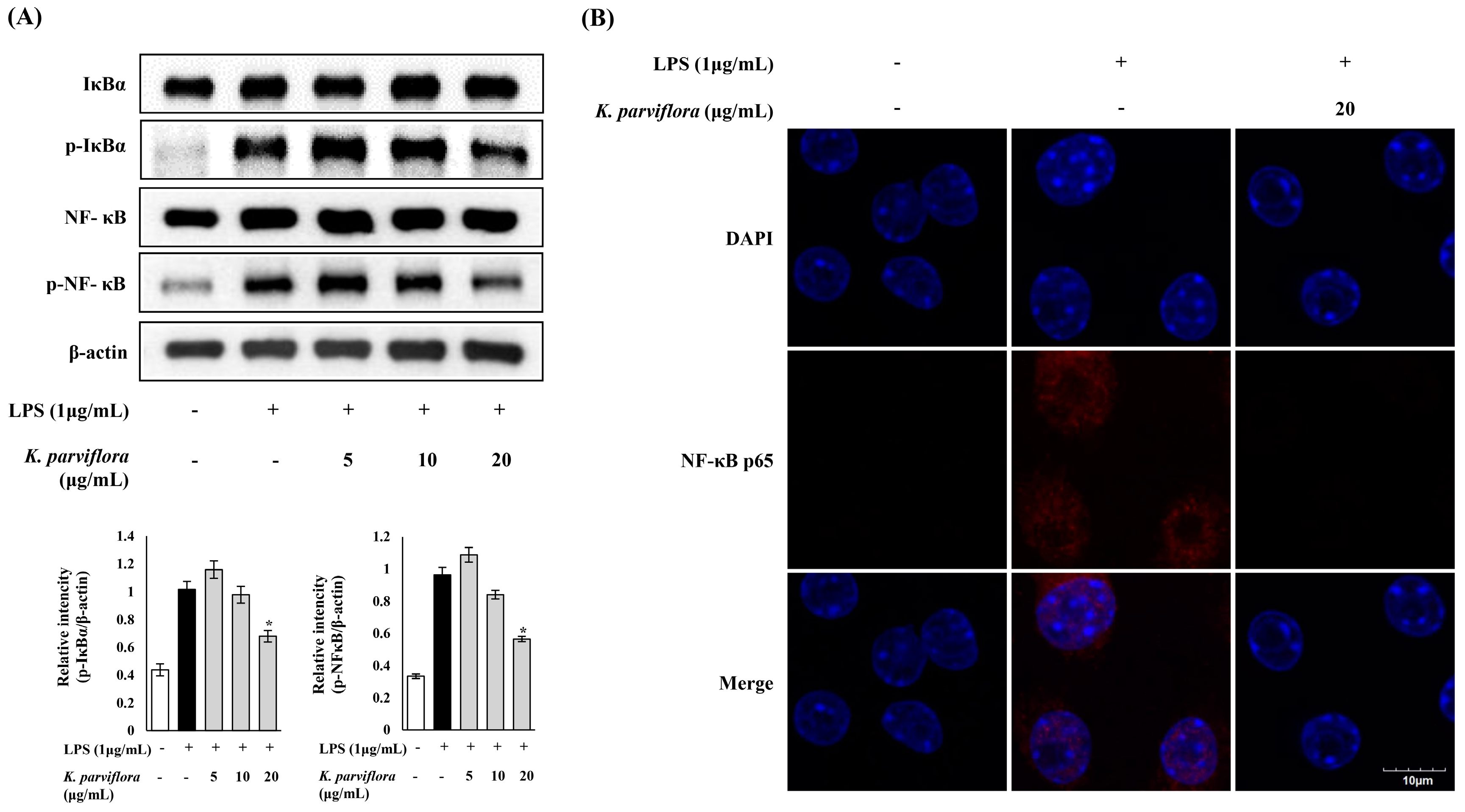 Ijms 19 03457 g003 Ijms 19 03457 g003