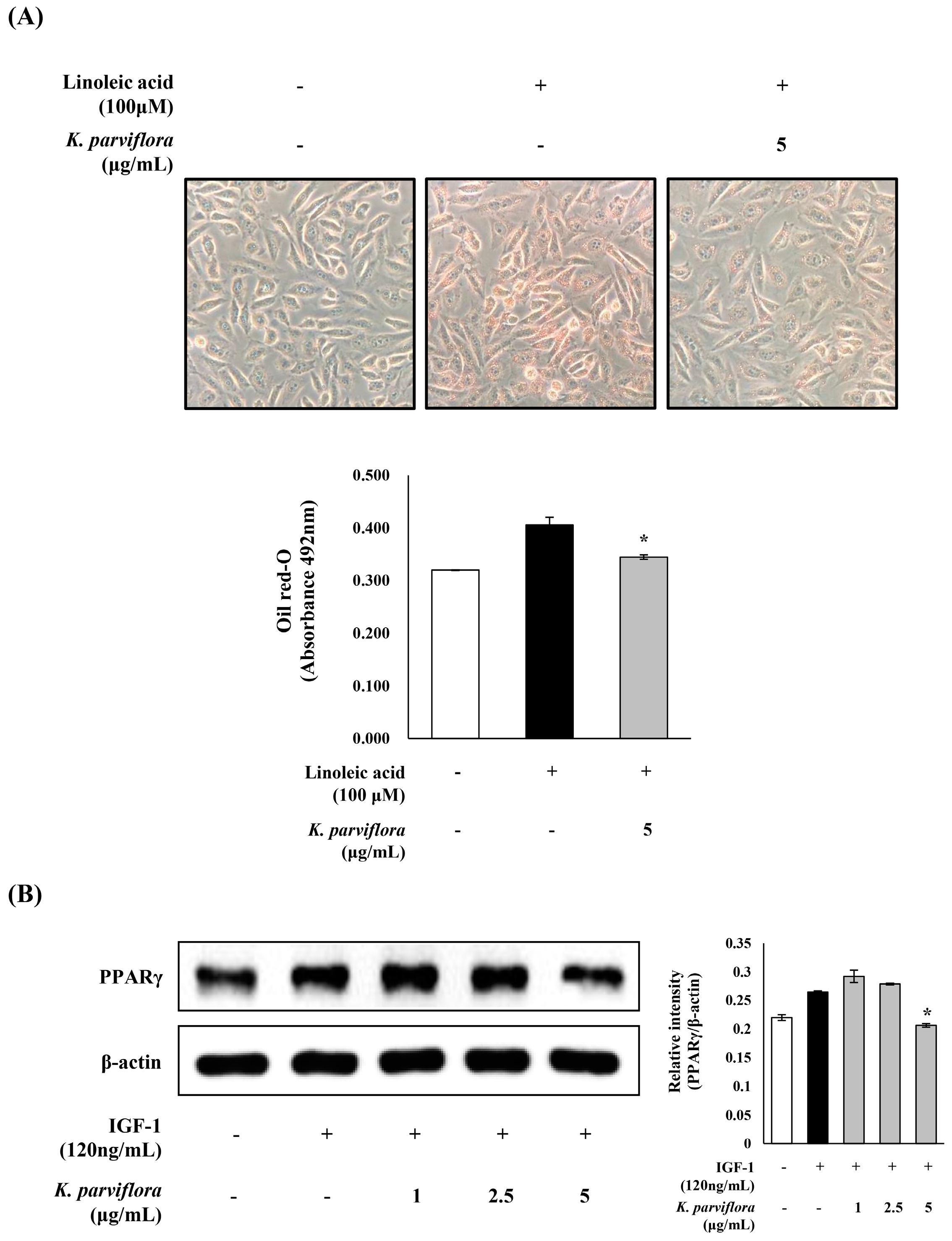 Ijms 19 03457 g006 Ijms 19 03457 g006