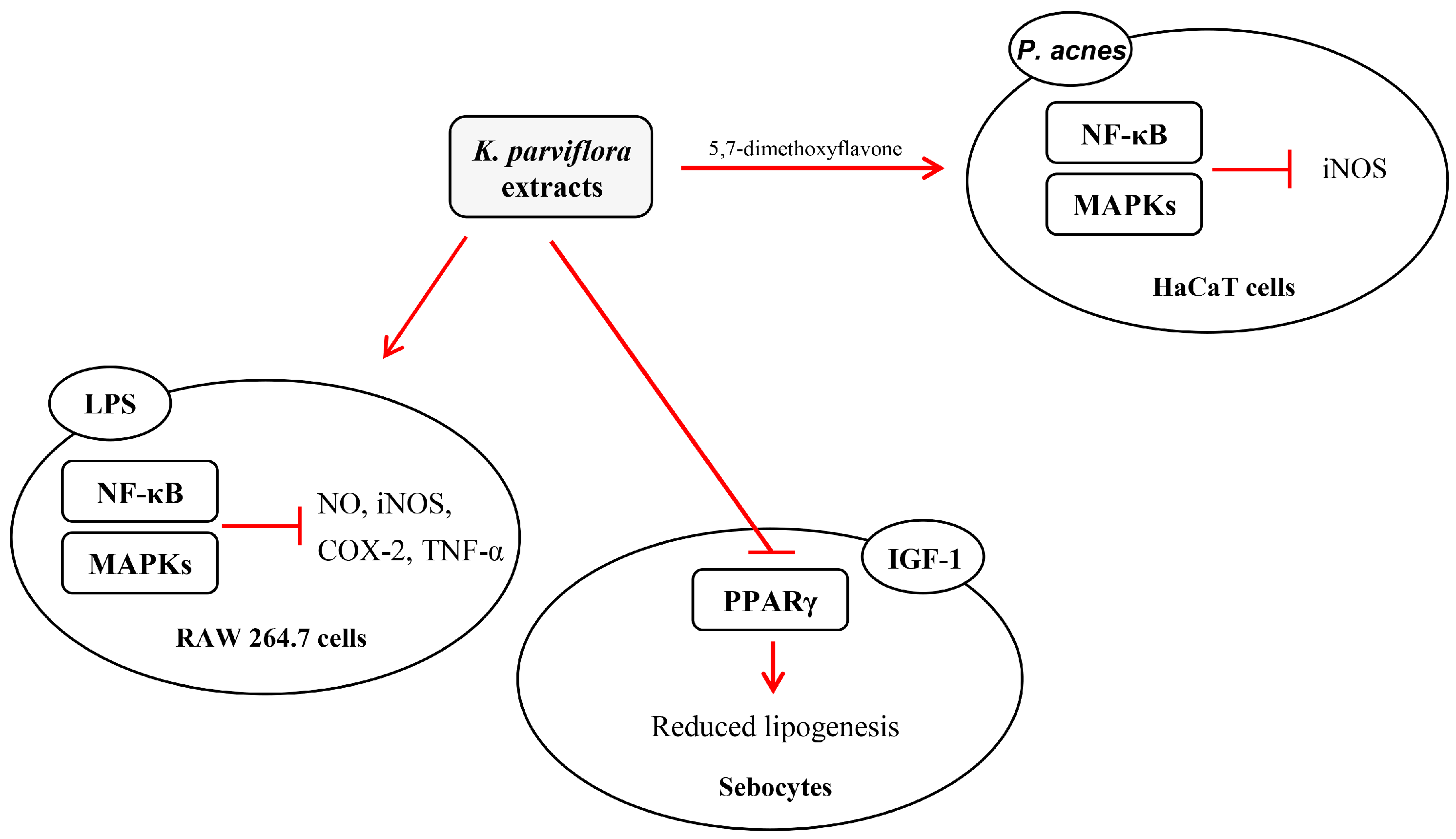 Ijms 19 03457 g007 Ijms 19 03457 g007