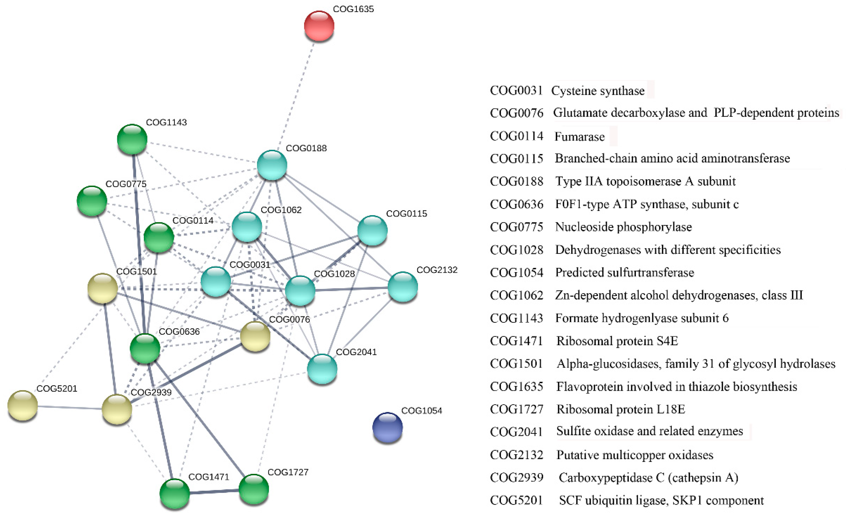 Ijms 19 03460 g006 Ijms 19 03460 g006