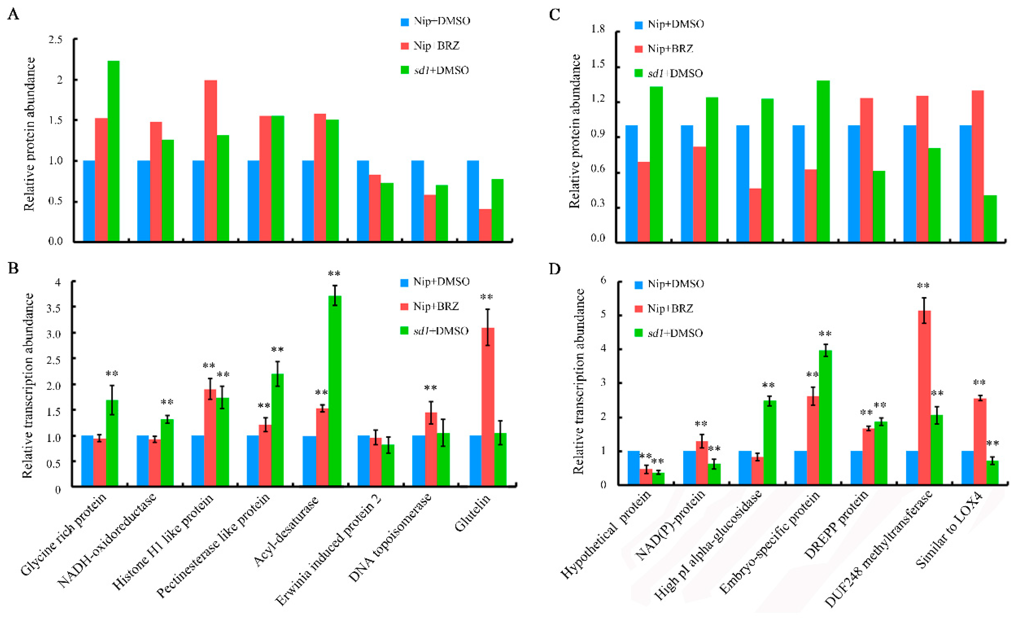 Ijms 19 03460 g007 Ijms 19 03460 g007