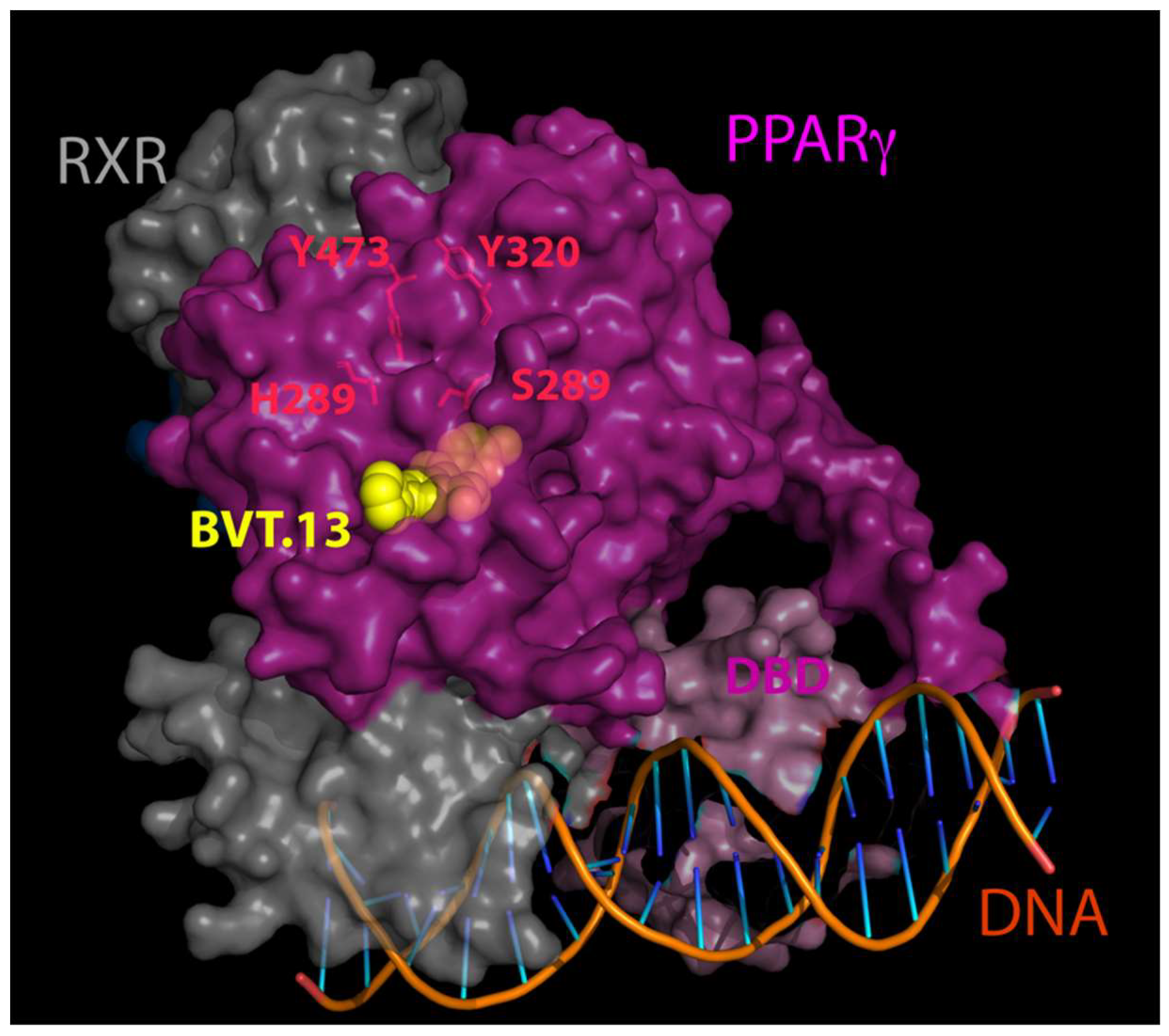 Ijms 19 03464 g002 Ijms 19 03464 g002