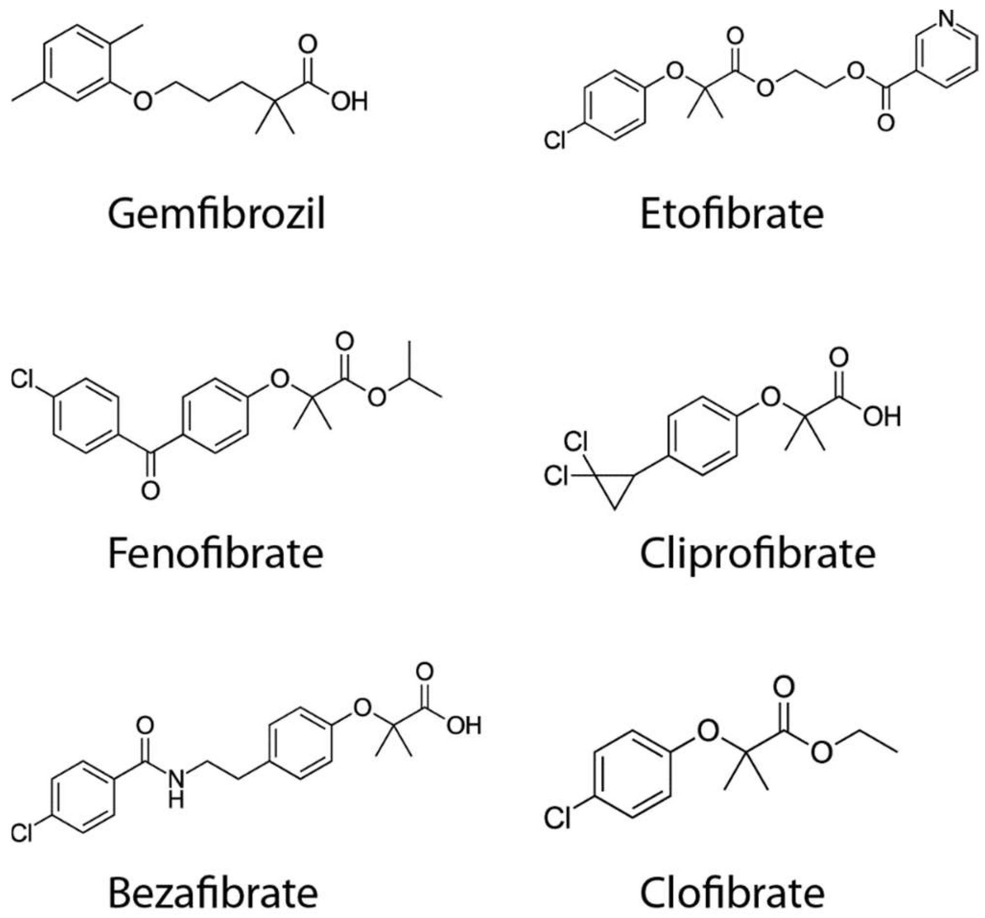 Ijms 19 03464 g003 Ijms 19 03464 g003