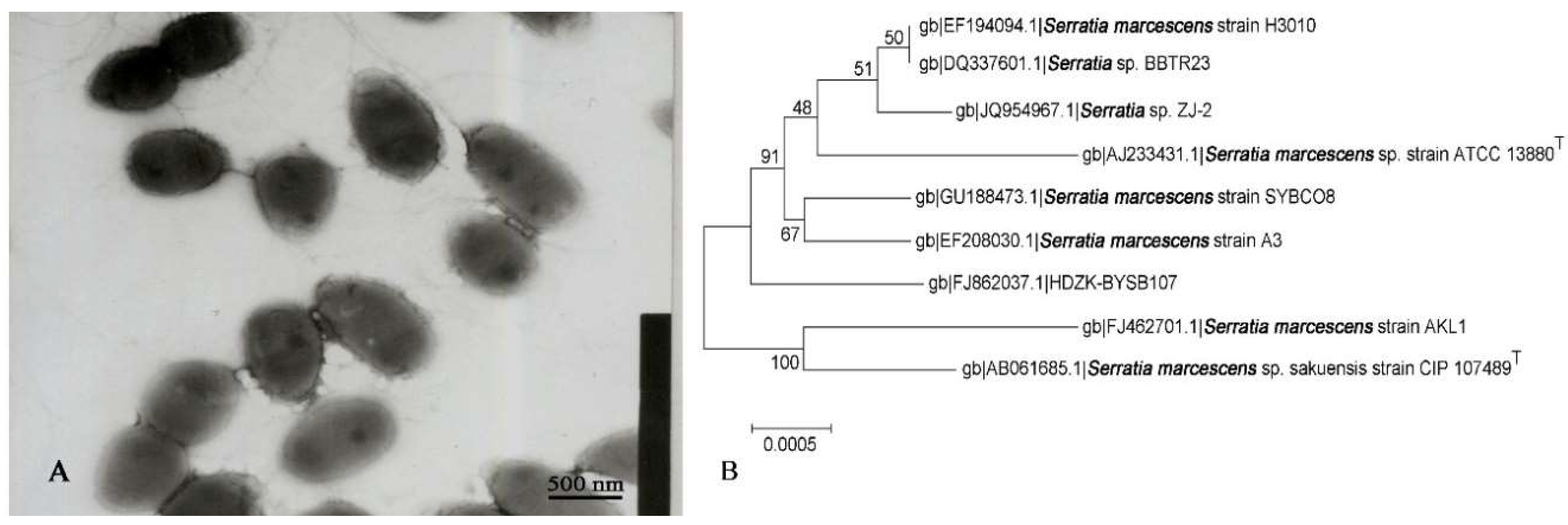Ijms 19 03465 g001